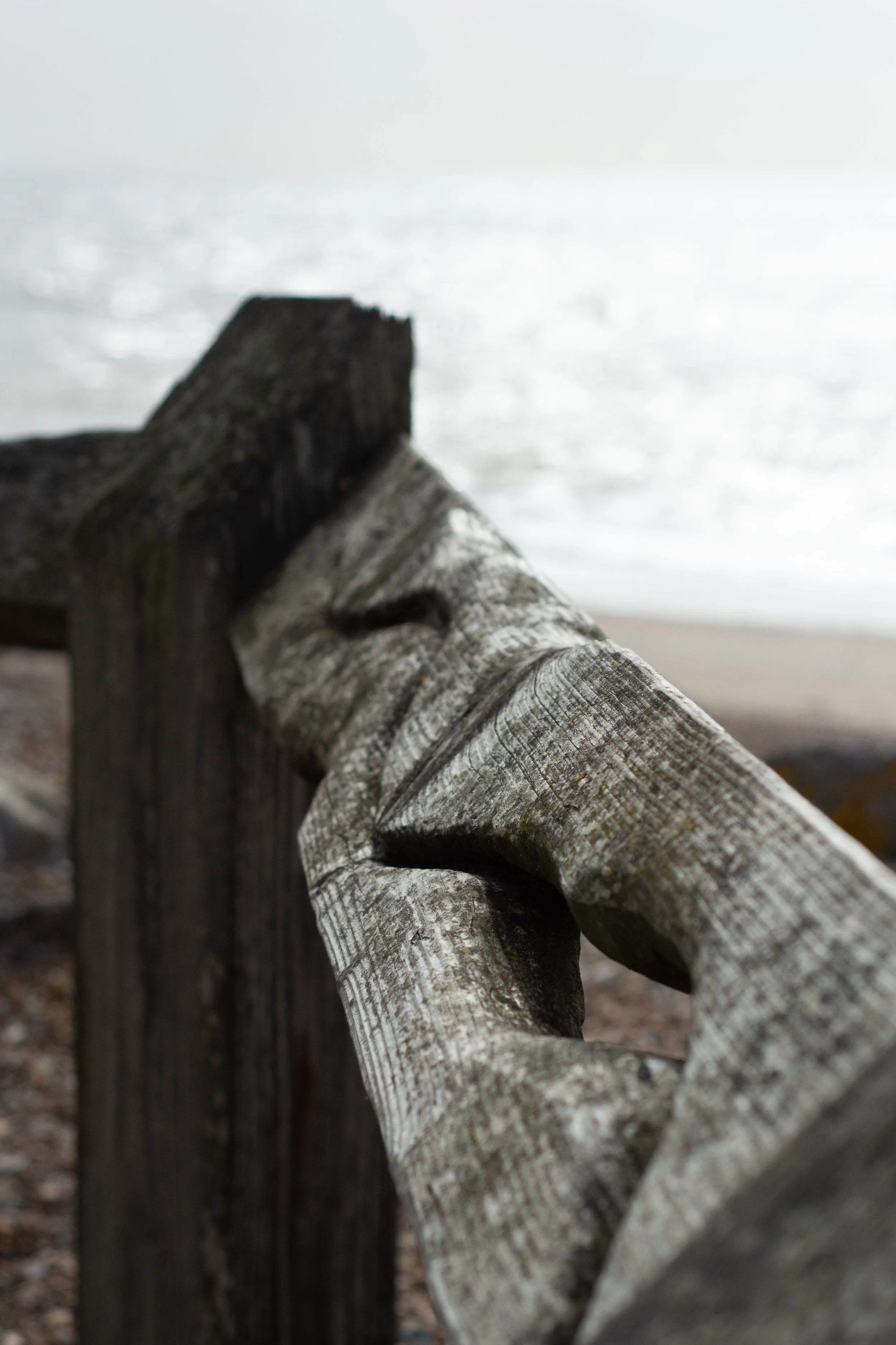 LRM_EXPORT_284160412427751_20190318_152717900 2.jpeg