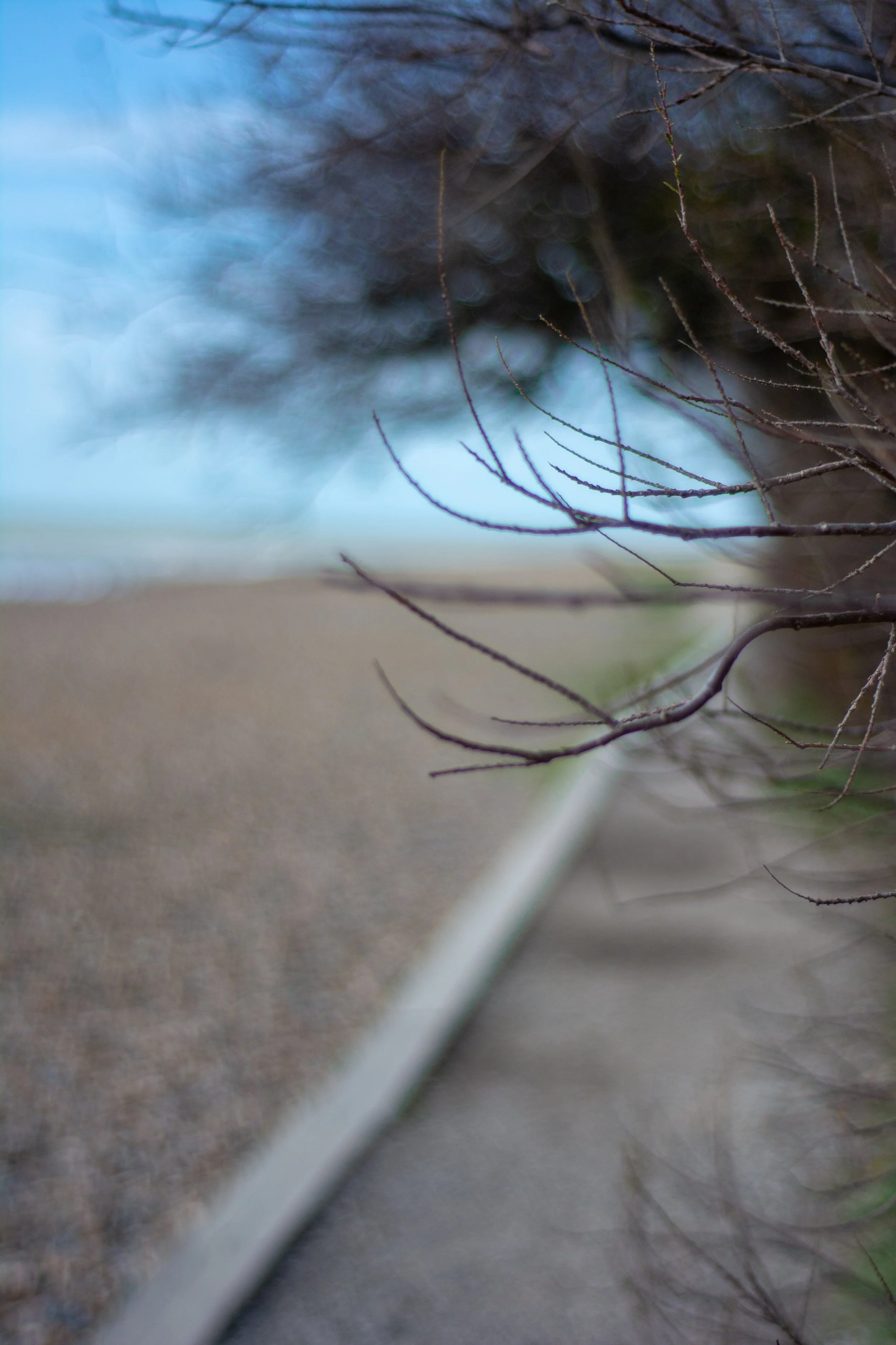 LRM_EXPORT_280318356380845_20190318_142225816 2.jpeg