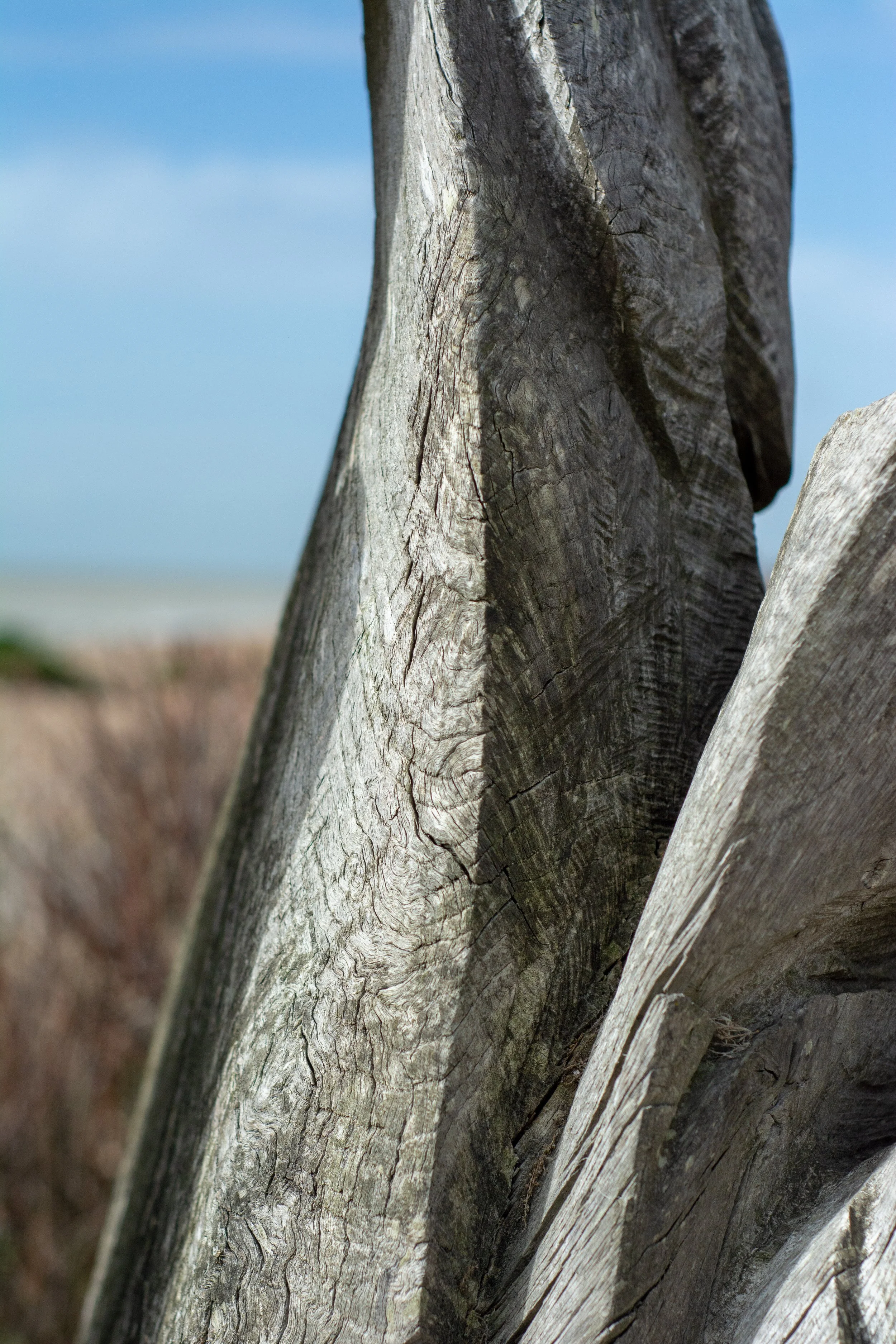 LRM_EXPORT_284028642603537_20190318_152506130 2.jpeg