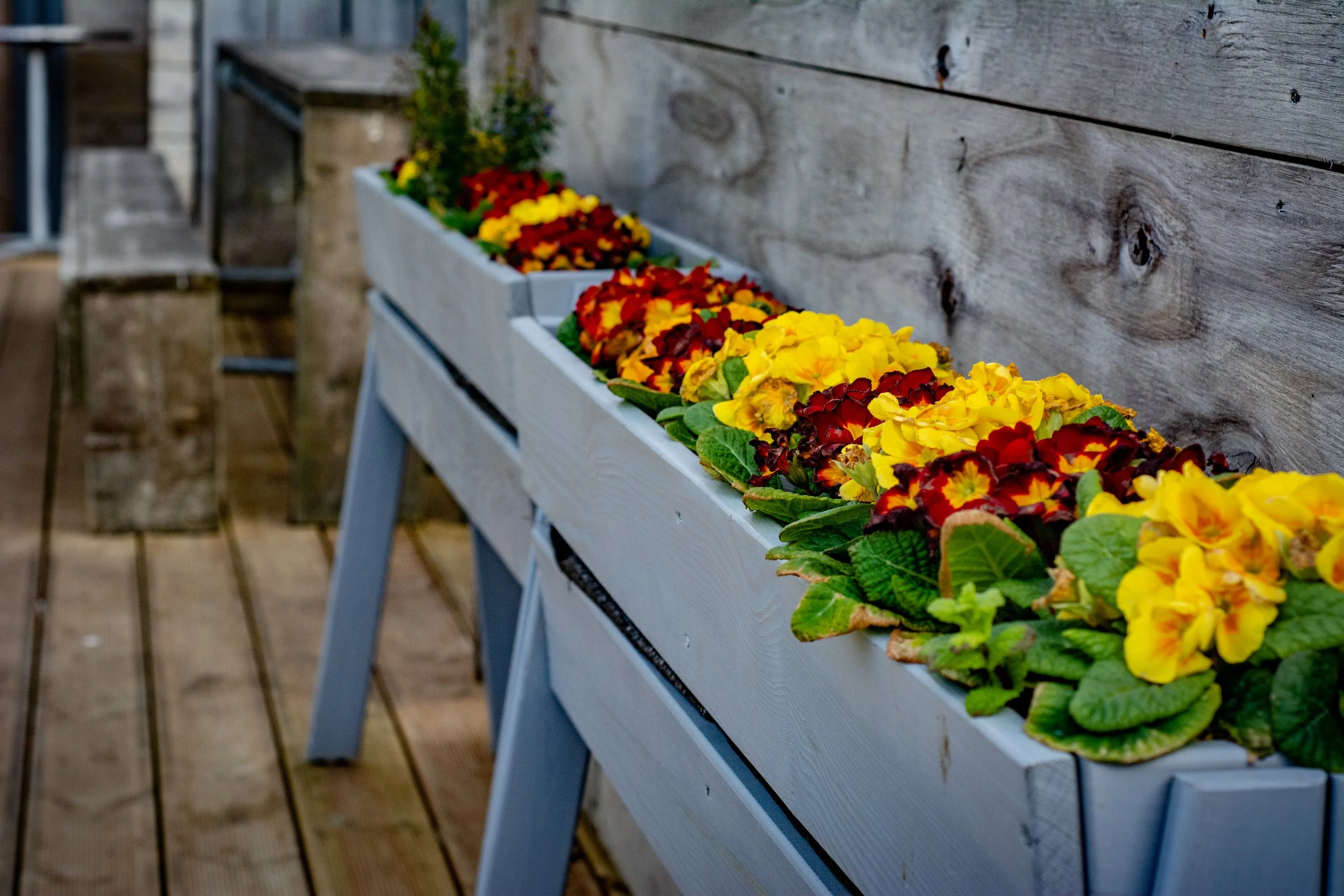 LRM_EXPORT_288879309554645_20190318_164556799 2.jpeg