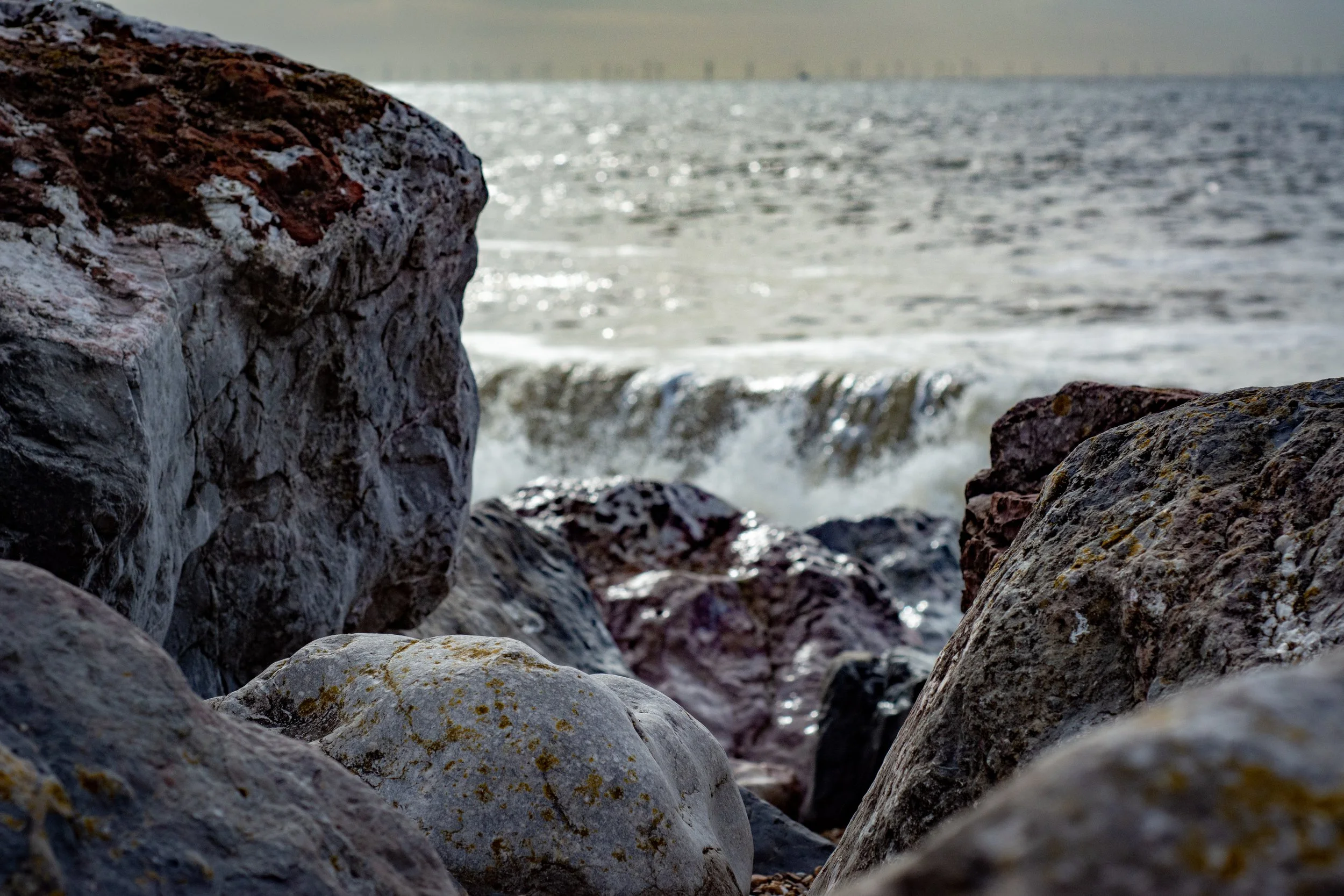 LRM_EXPORT_288528371334165_20190318_164005861 2.jpeg