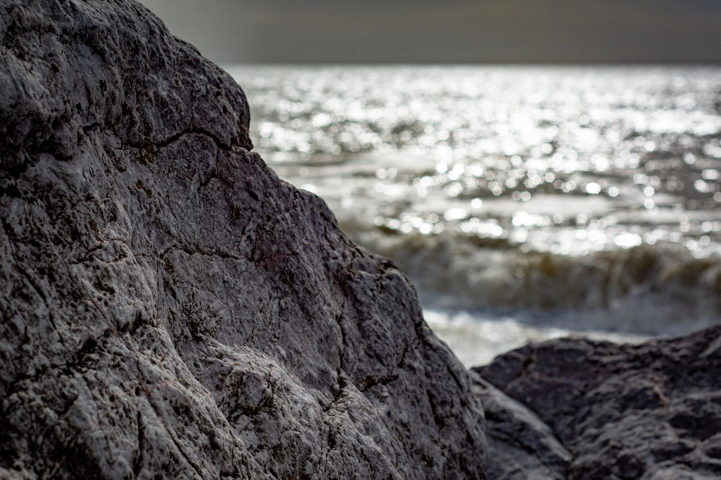 LRM_EXPORT_288113532790539_20190318_163311023 2.jpeg