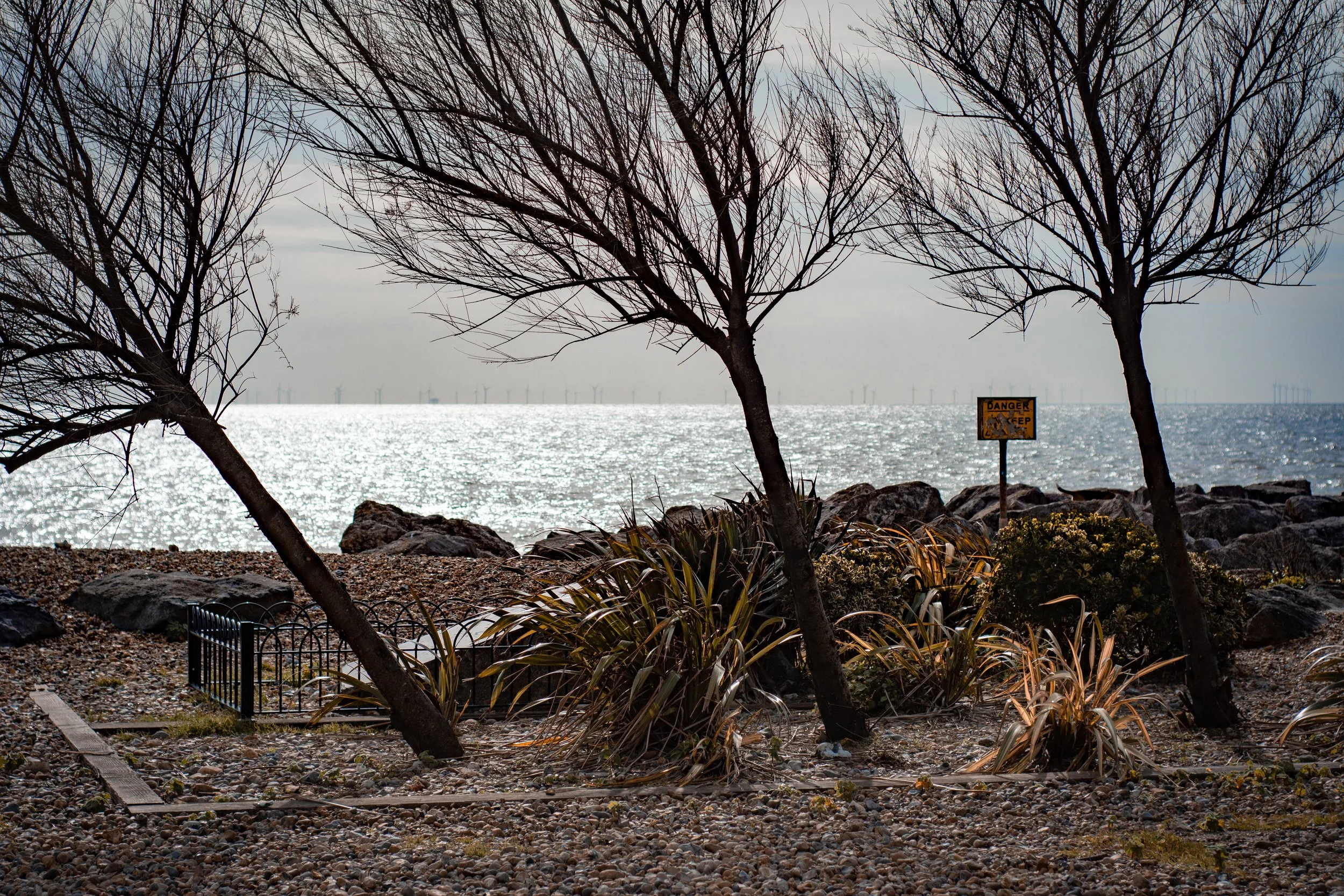 LRM_EXPORT_291389655785734_20190318_172747146 2.jpeg