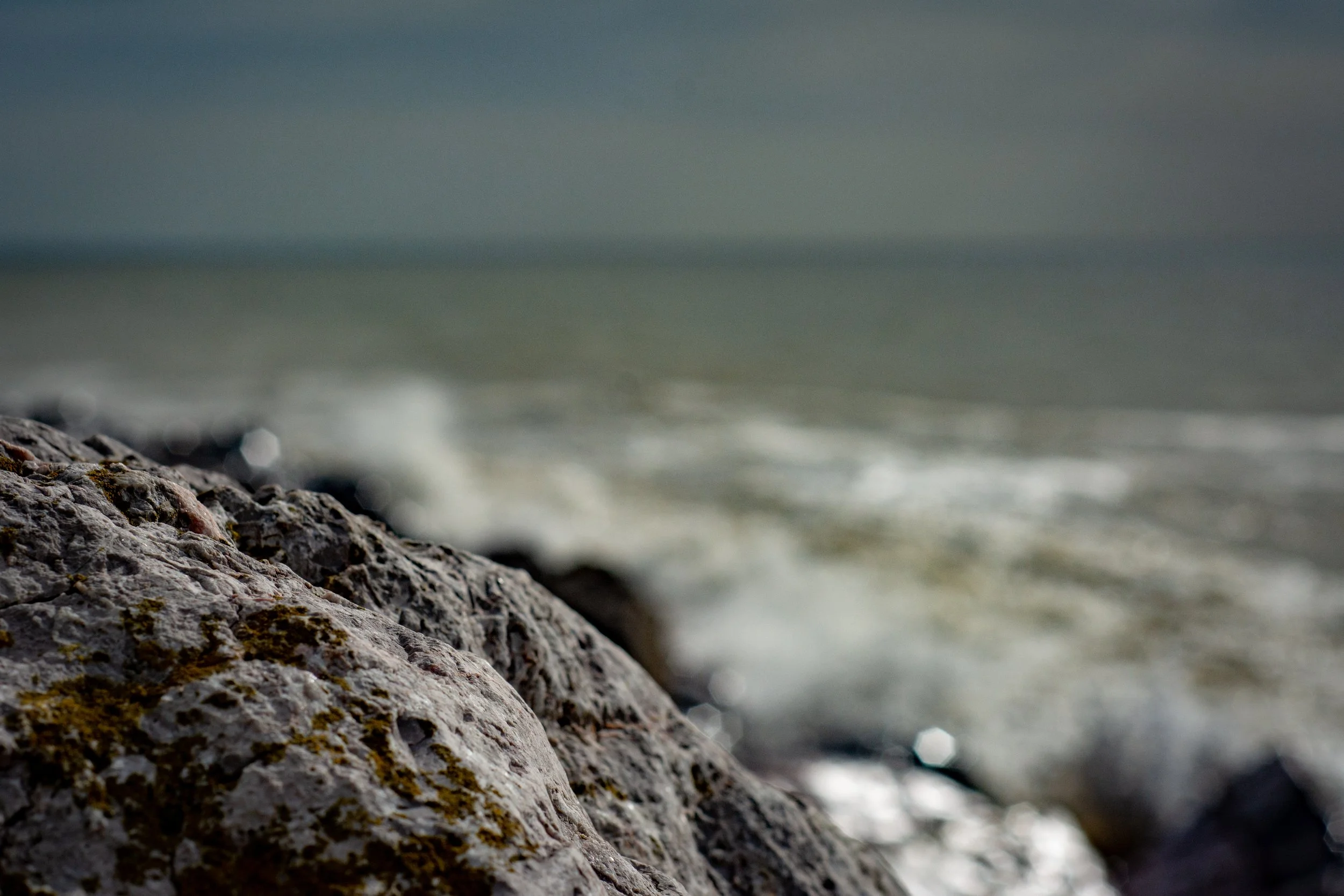 LRM_EXPORT_288328535458962_20190318_163646025 2.jpeg