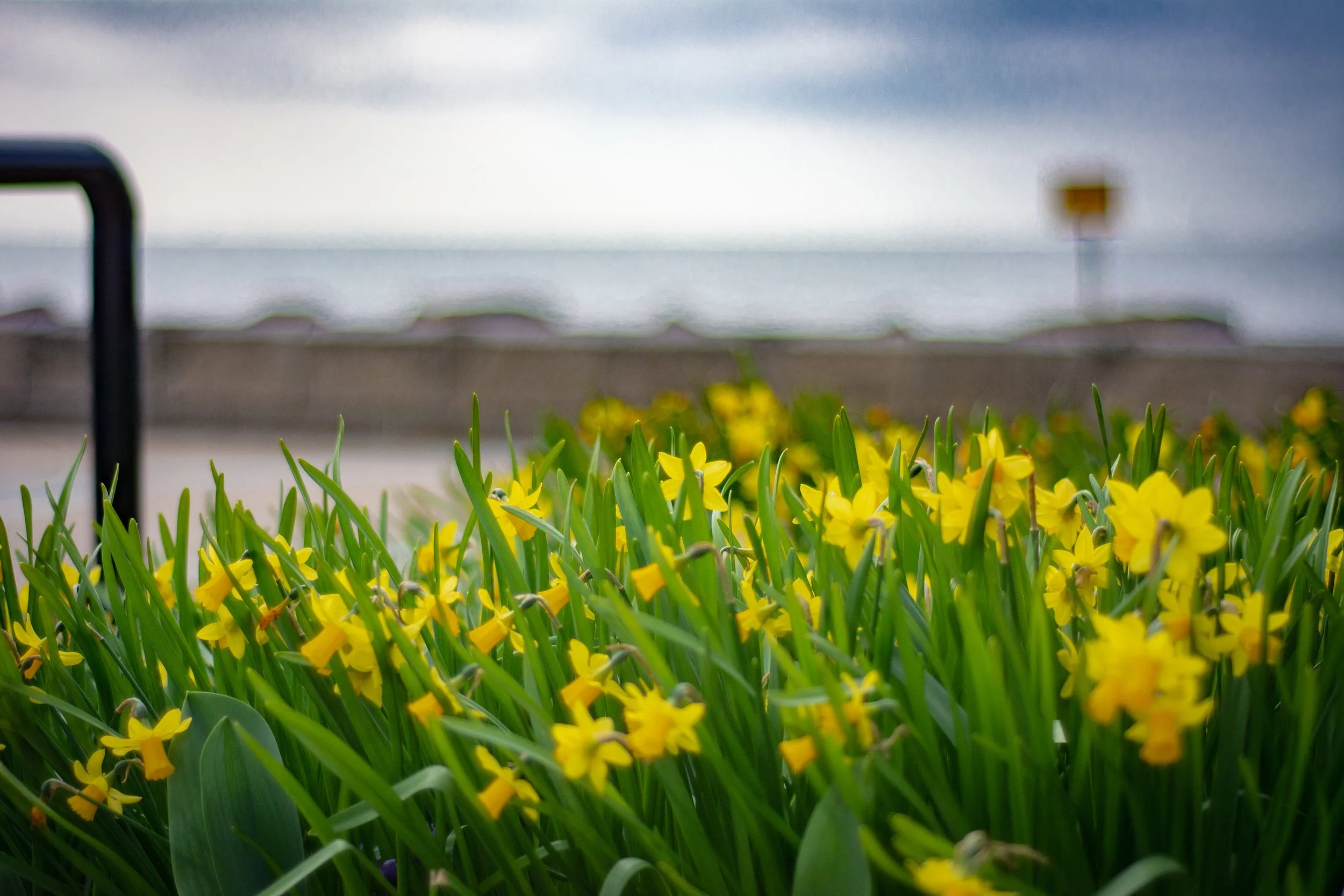 LRM_EXPORT_289445621535894_20190318_165523111 2.jpeg