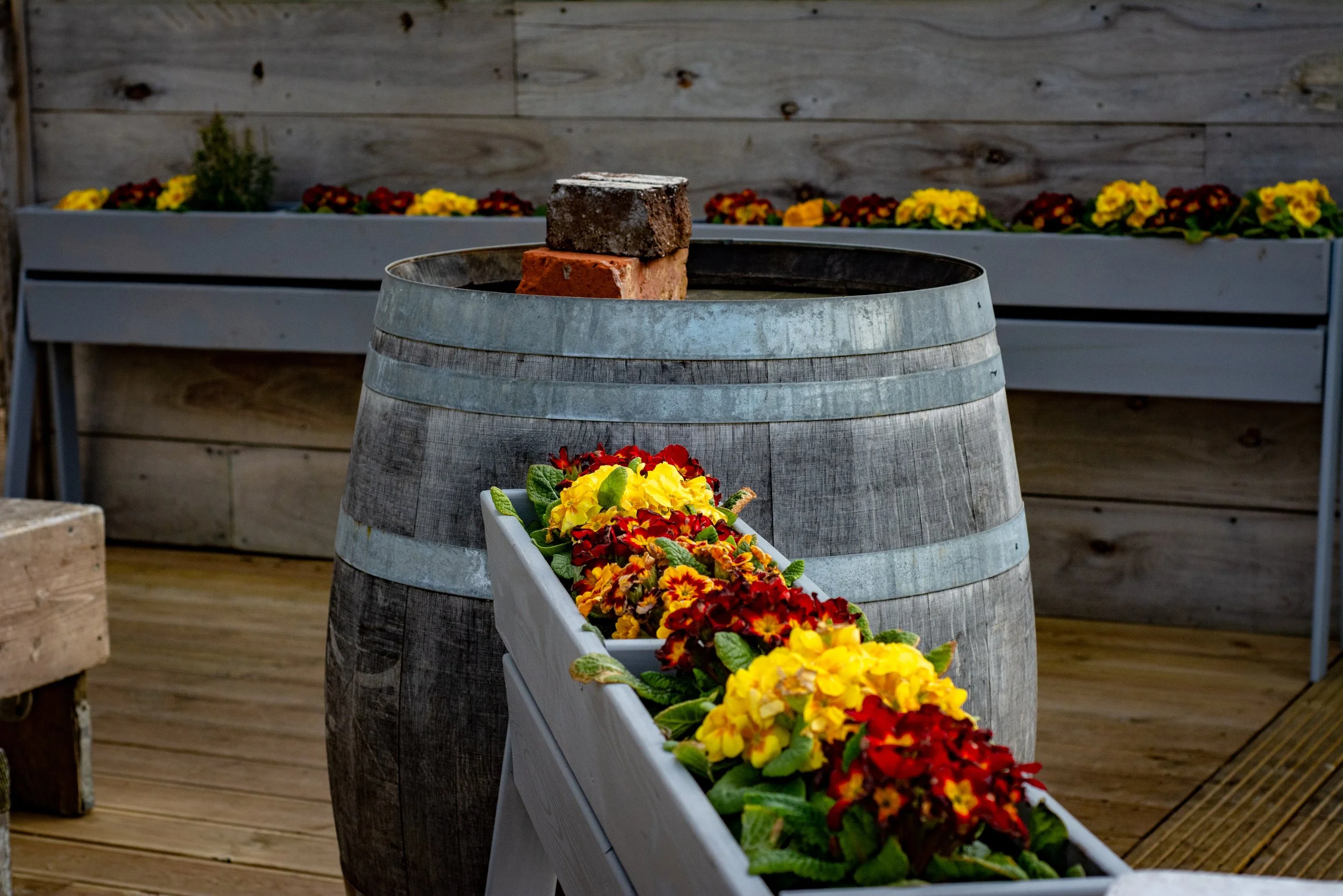 LRM_EXPORT_288796811421089_20190318_164434301 2.jpeg