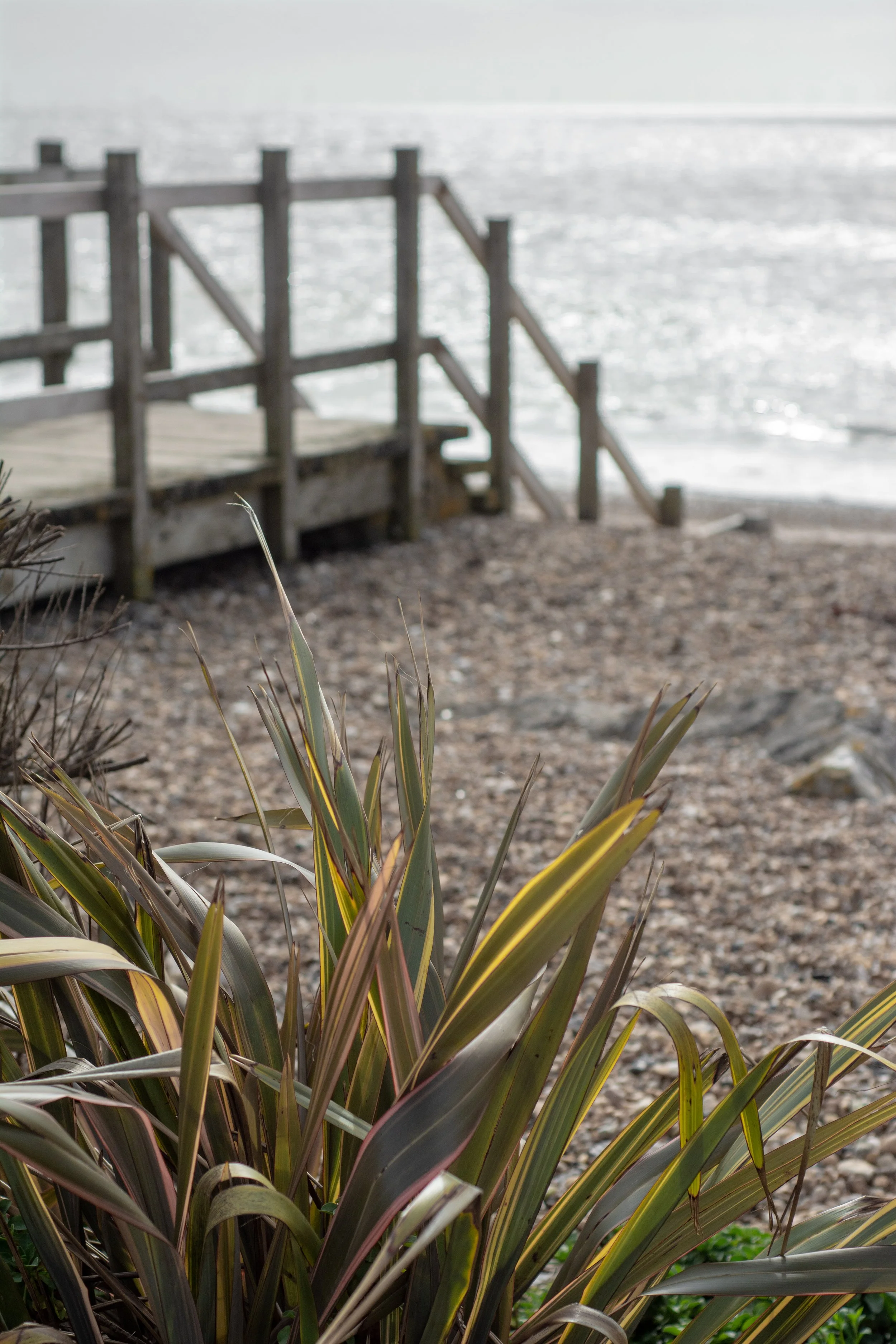 LRM_EXPORT_284497576328433_20190318_153255066 2.jpeg