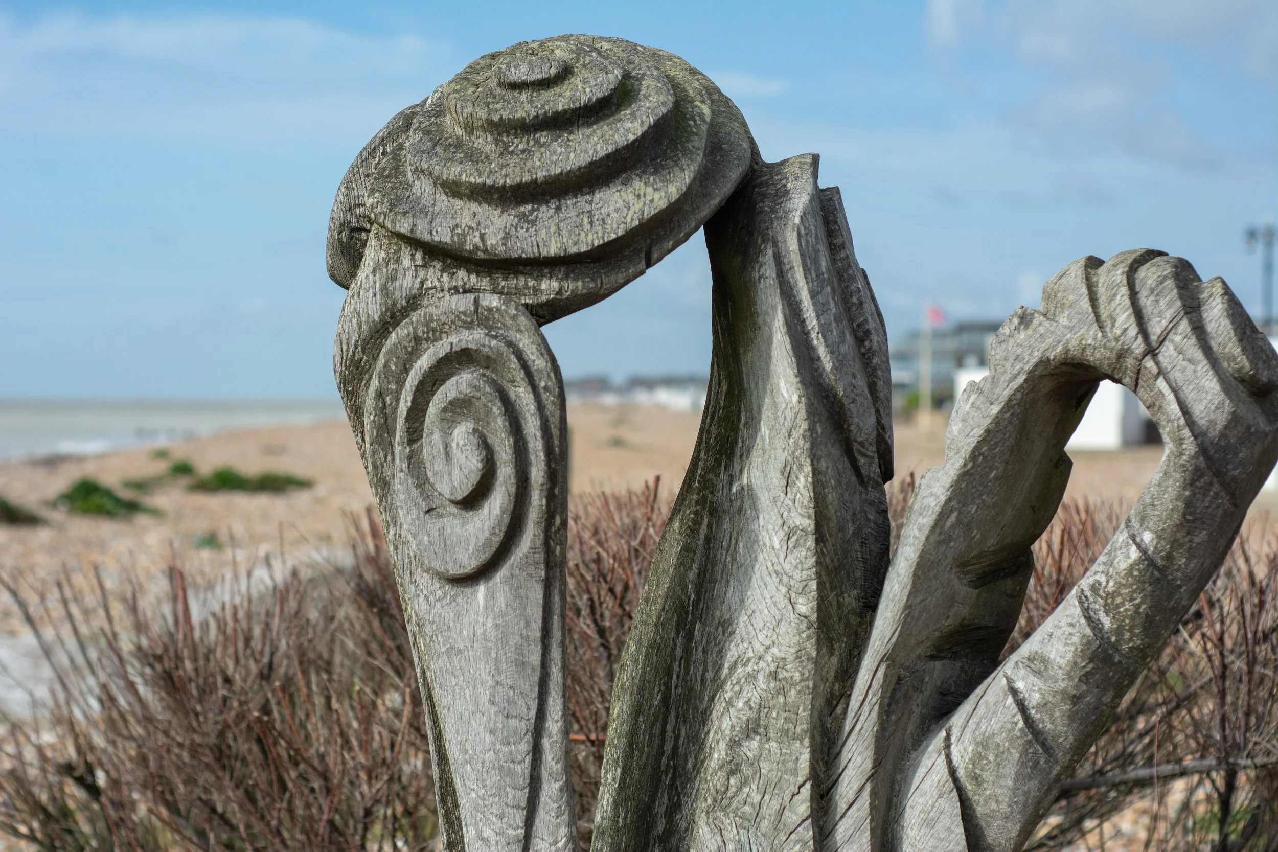 LRM_EXPORT_284069537395124_20190318_152547027 2.jpeg