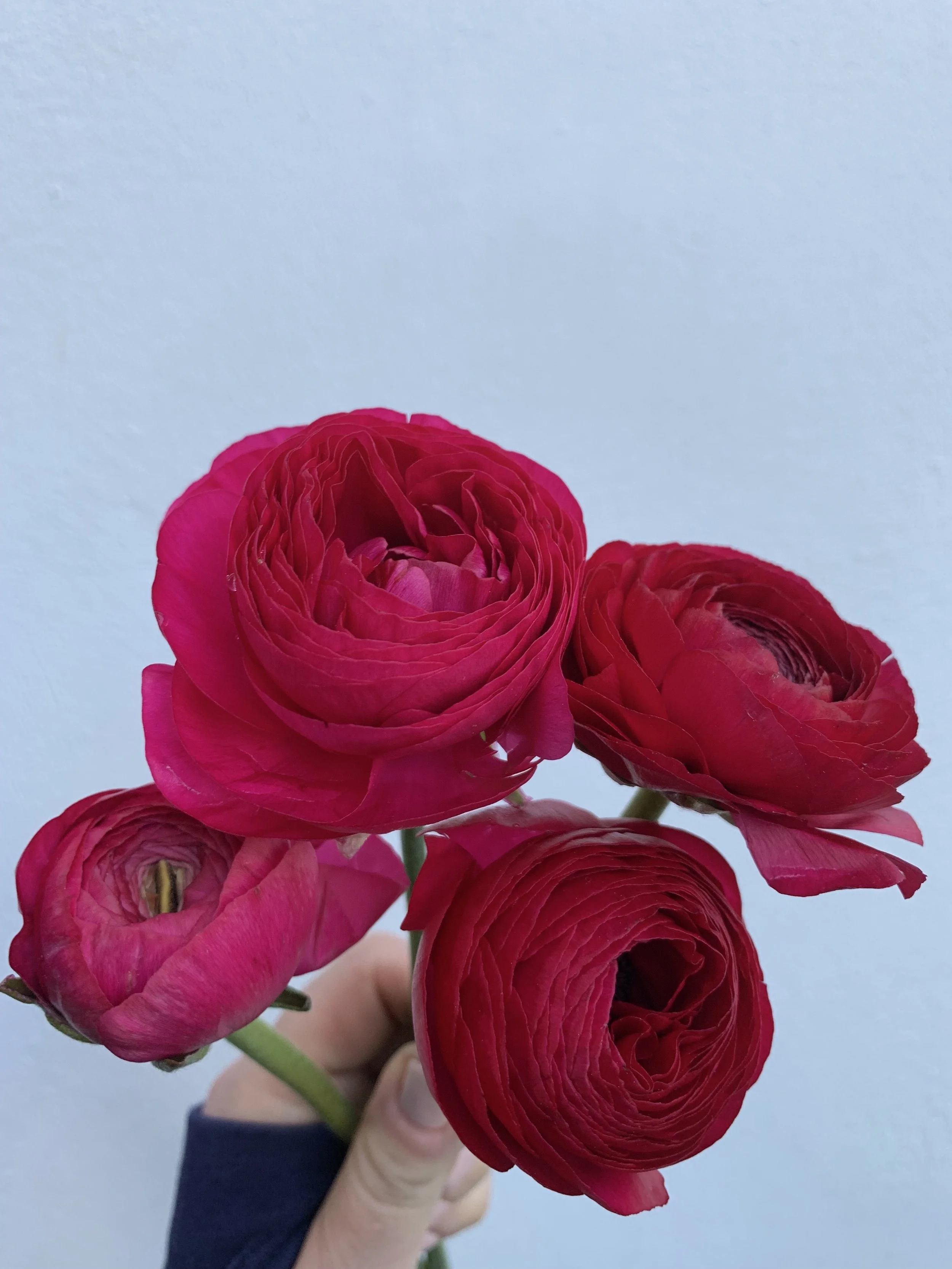 Mother's Day 2025.3.jpg