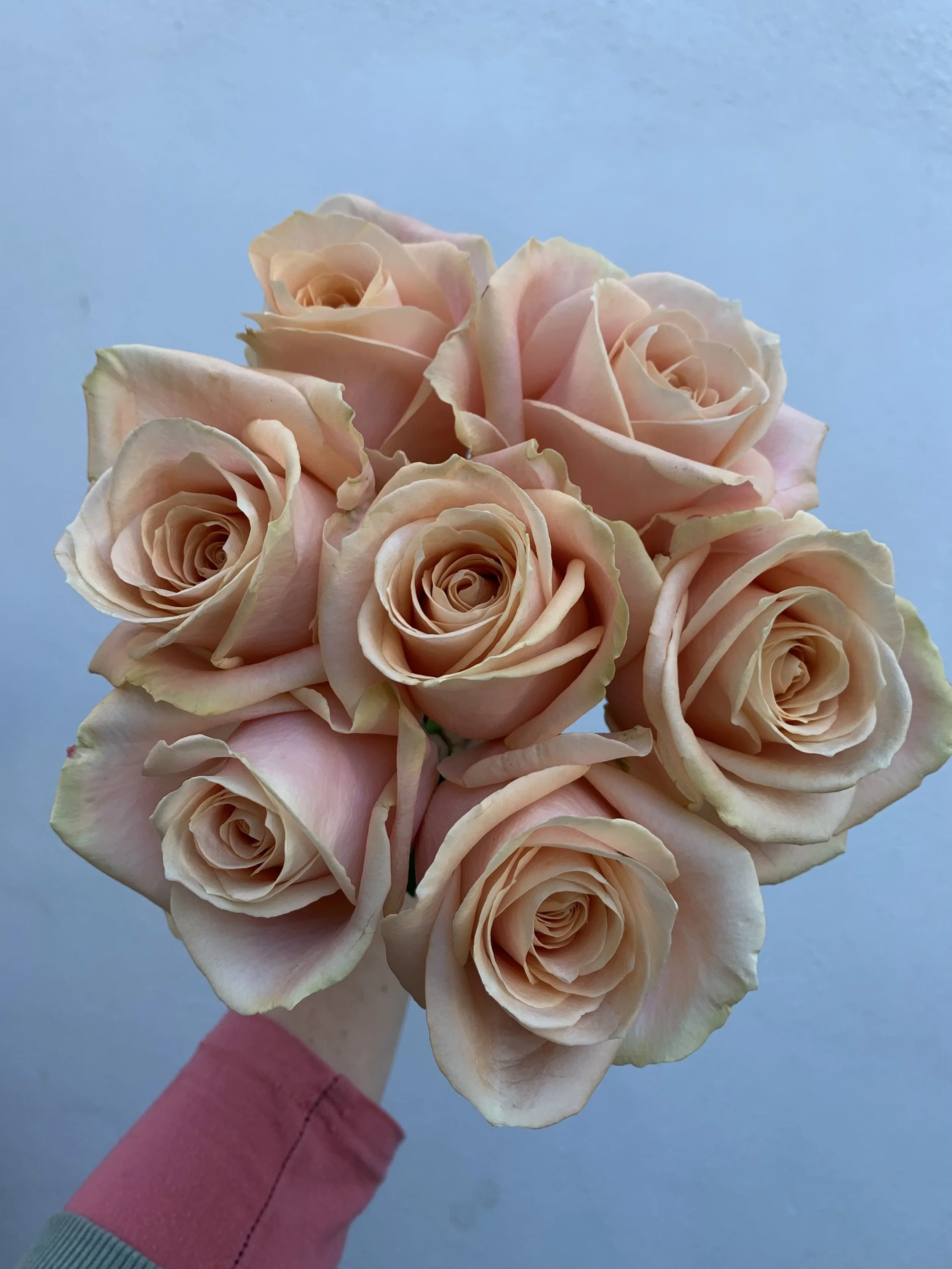 Mother's Day 2025.1.jpg