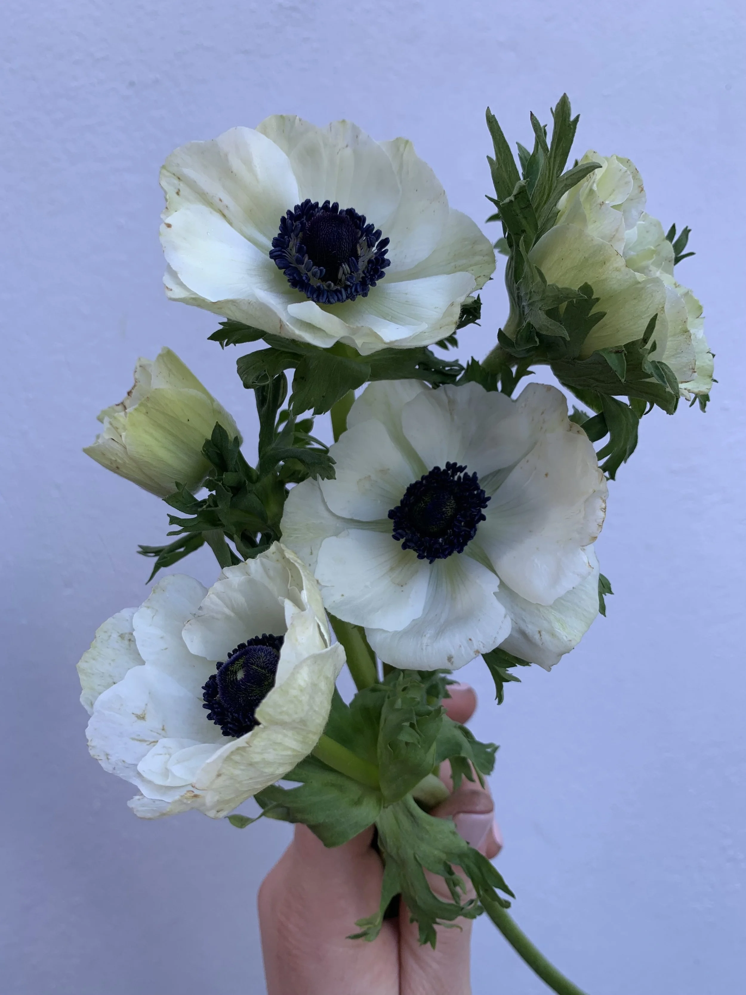 Mother's Day 2025. 2.jpg