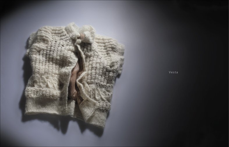 Vesta1 copy.jpg