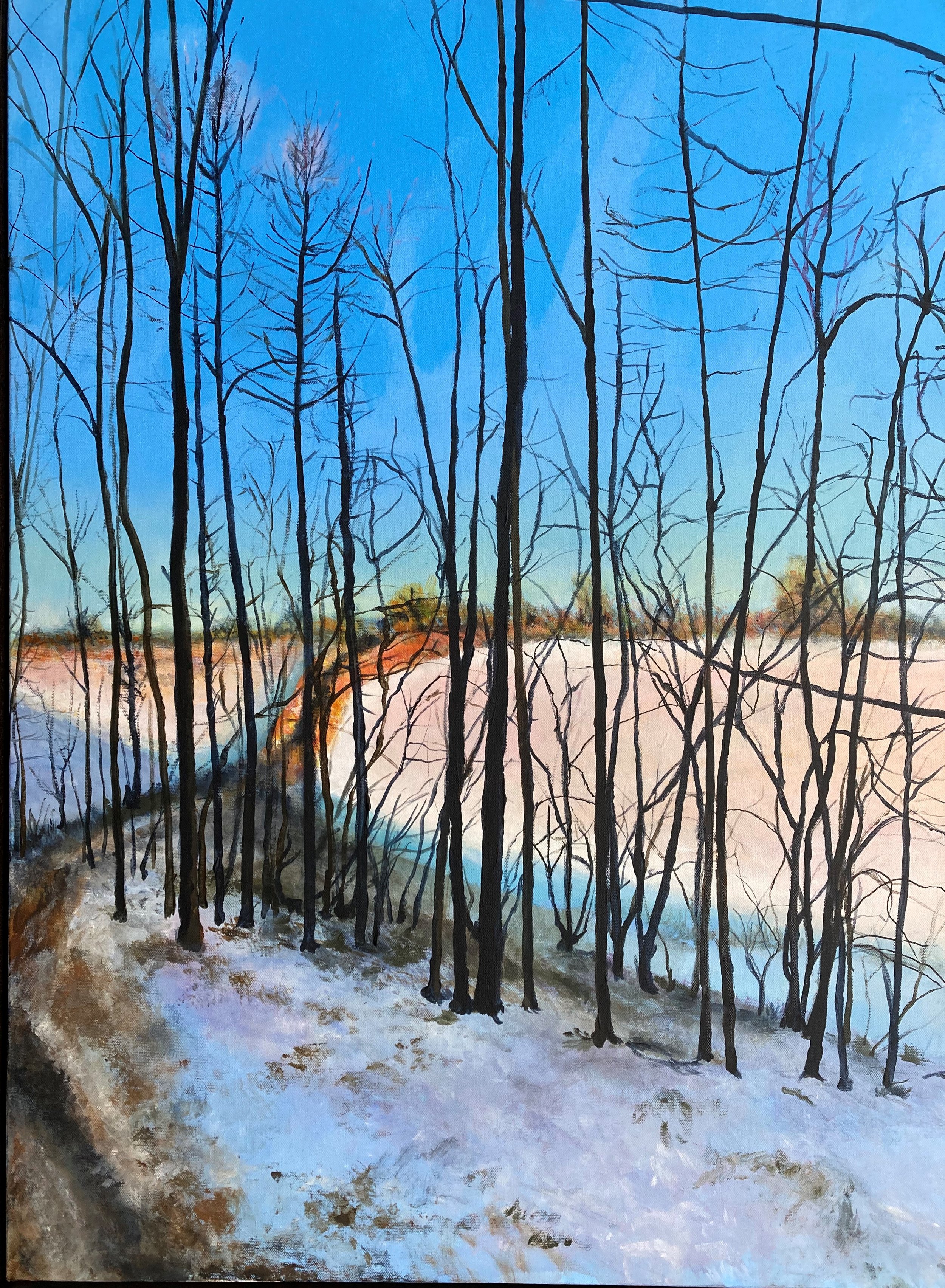 Rex I (76x100 cms, 30X40 inches) Acrylic on Canvas SOLD