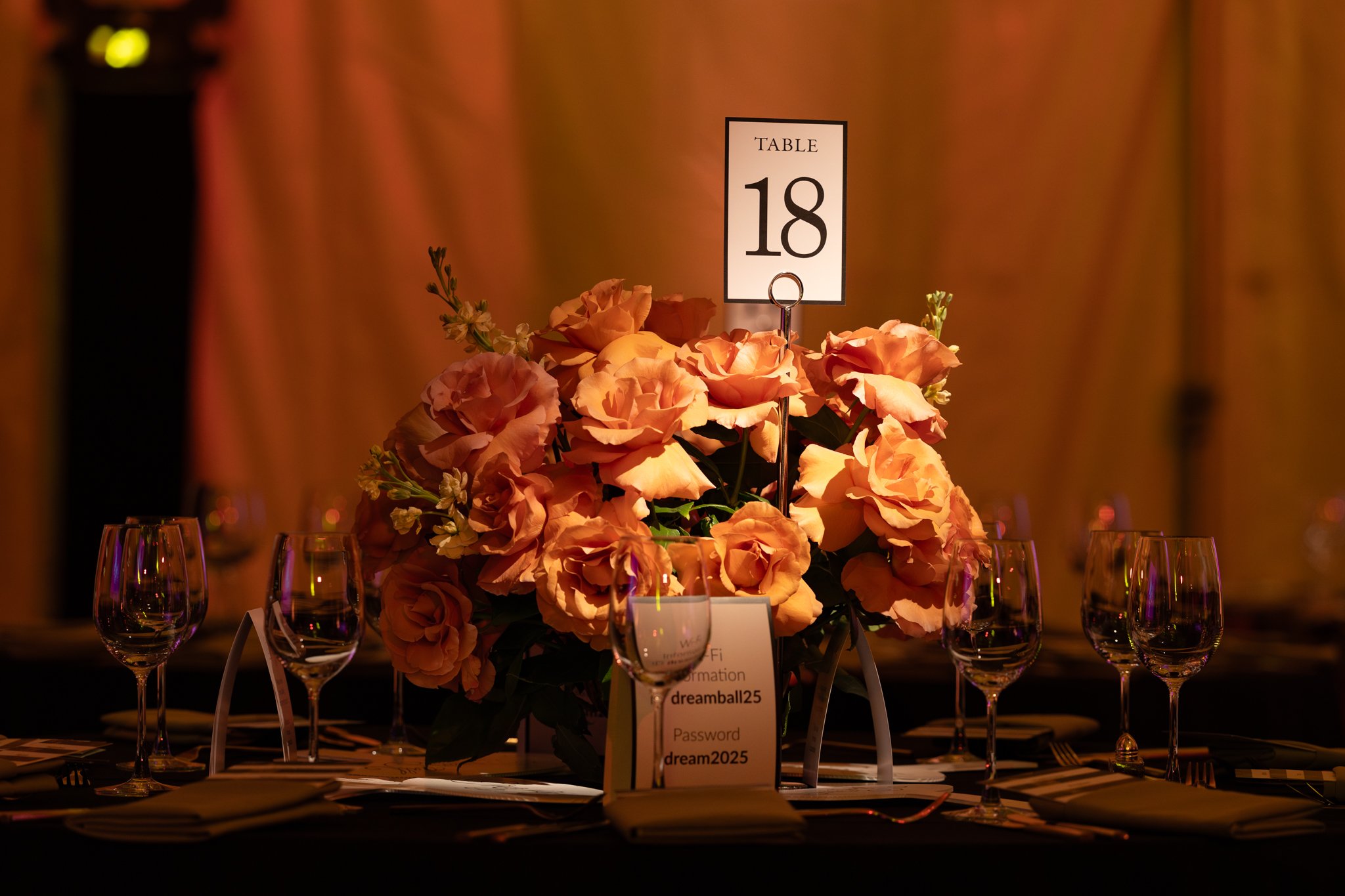 2025 Dream Ball-0010.jpg