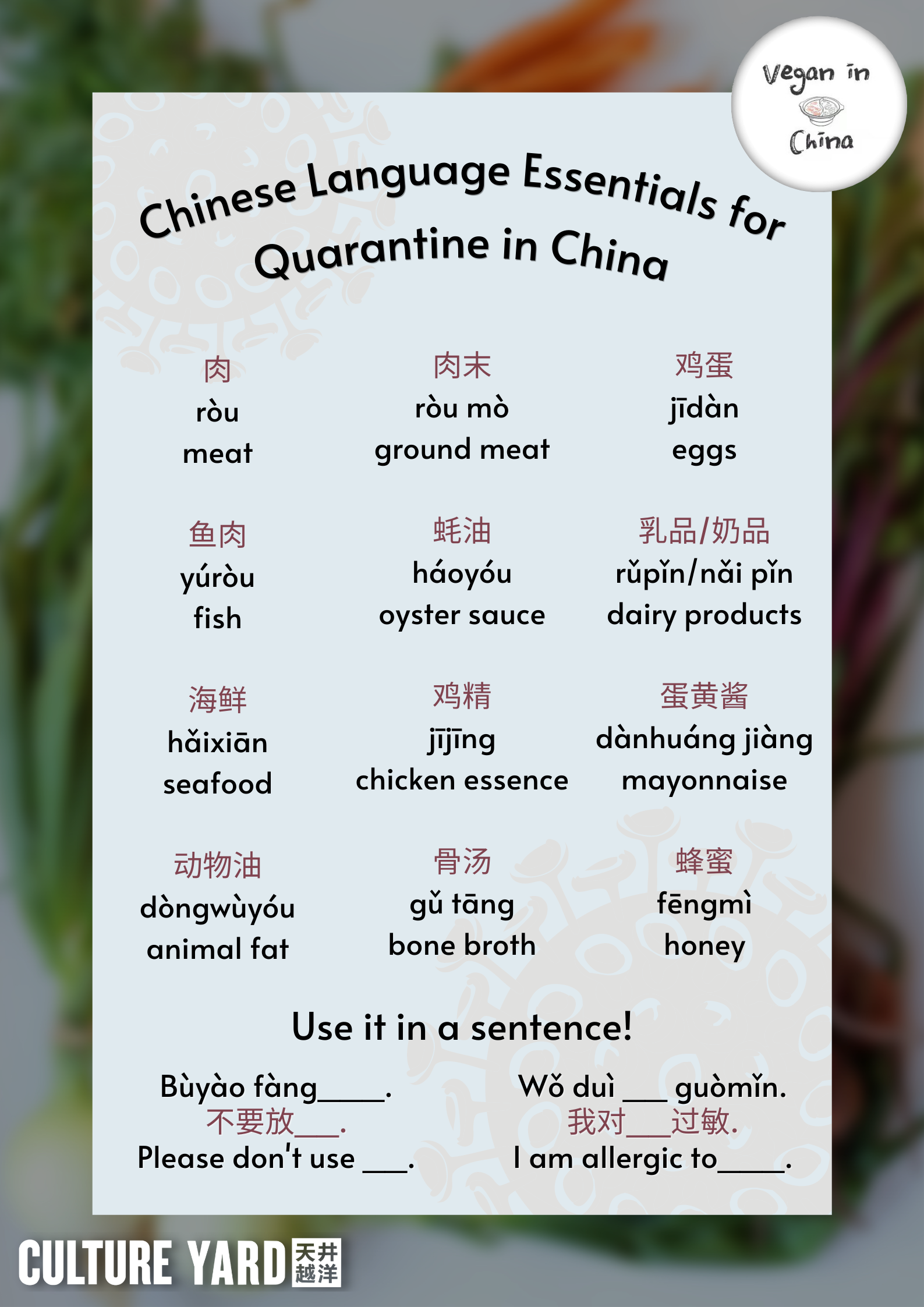 Chinese Language Essentials for Quarantine in China.png