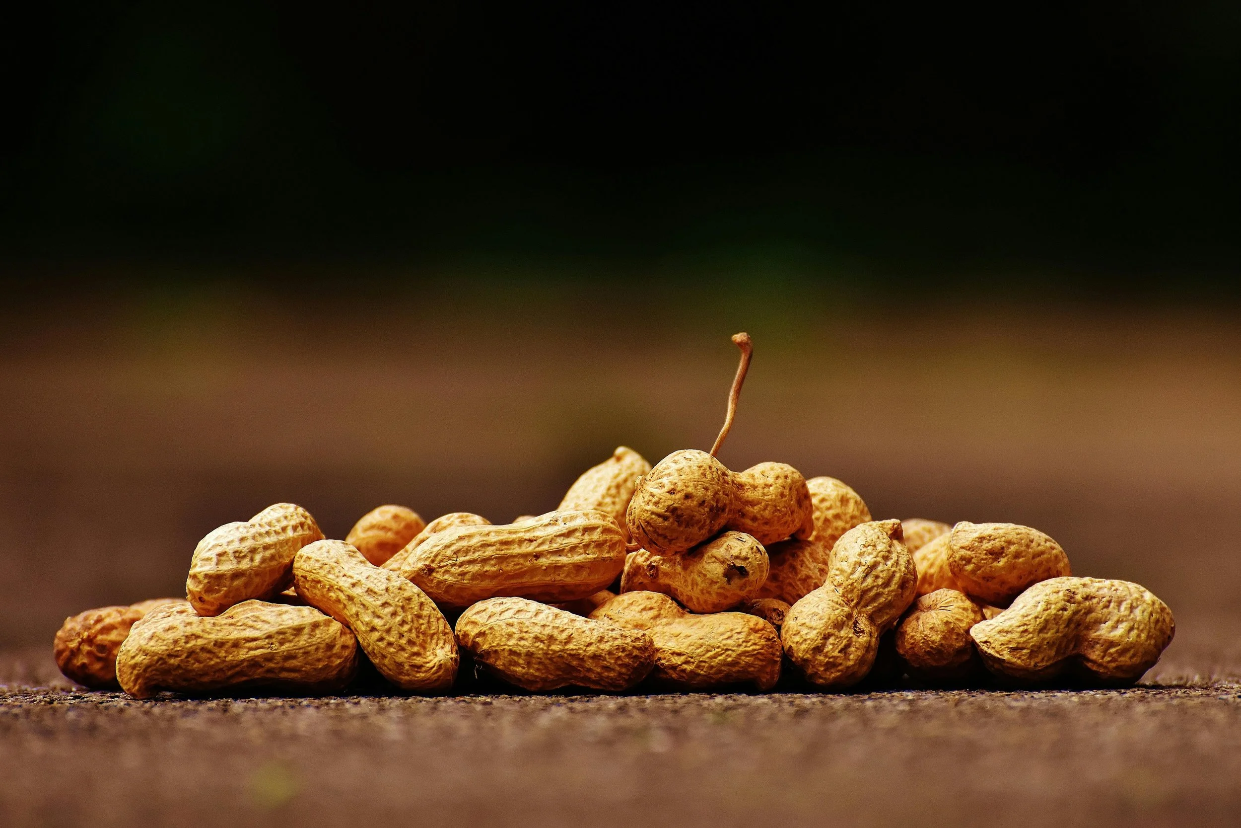 Peanut Shells Can Be Upcycled to Make High-Fibre Plant-Based & Cultivated Meat, Shows Study