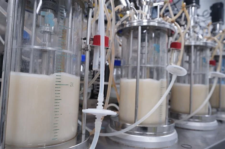 "vegan china" "vegan protein" Not All Proteins Are Created Equal. Chinese Biosynthesis Aims at the Best