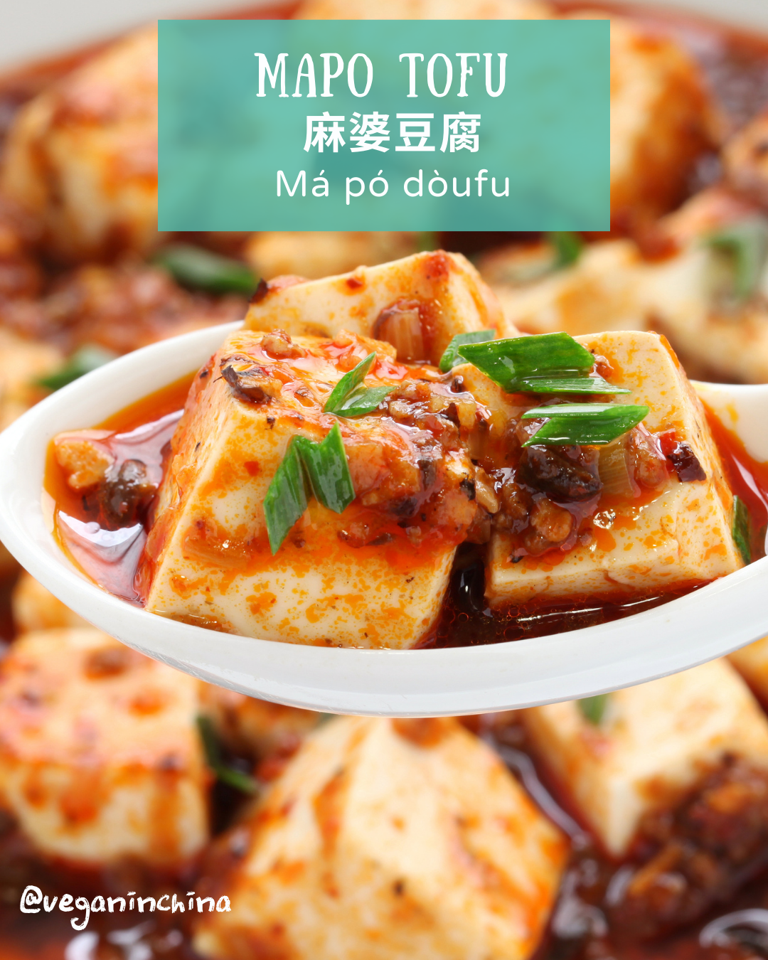 6 High Protein Vegan Chinese Dishes Vegan In China 6-high-protein-vegan-chinese-dishes-vegan-in-china