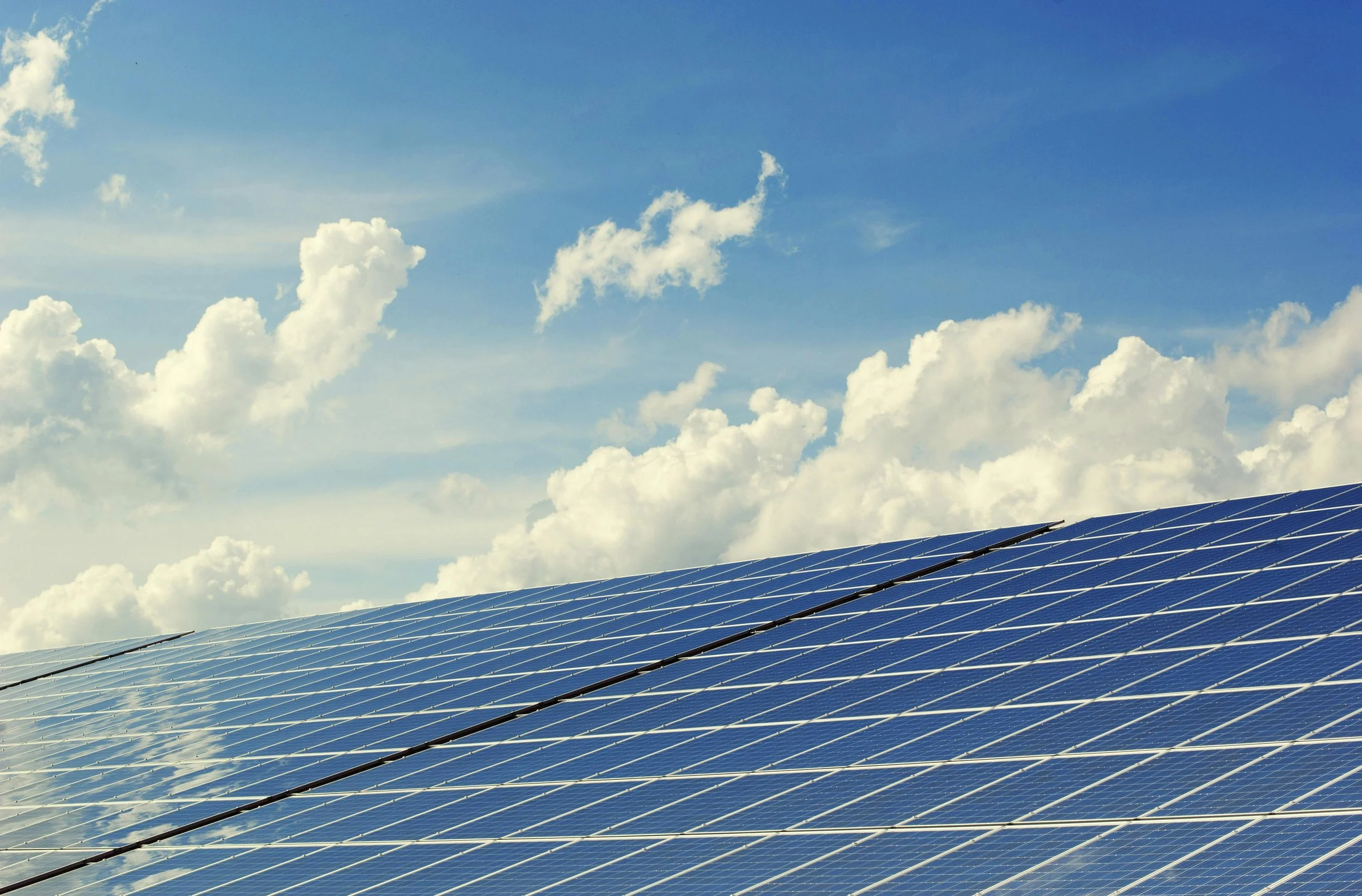 "vegan china" China Sets New Benchmark with World’s Largest Offshore Solar Farm