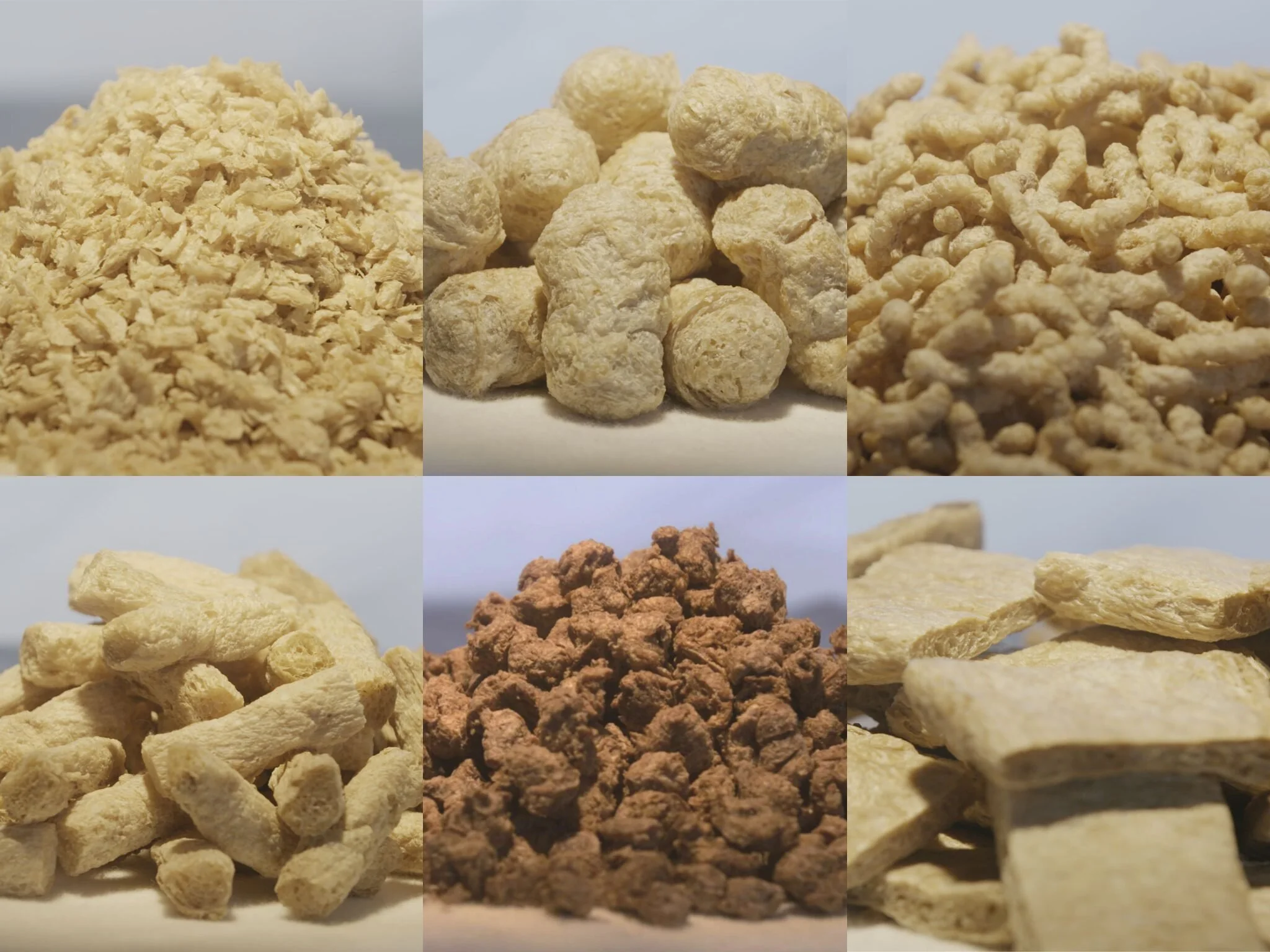 Plant Protein Maker BaiChuan Bio Tech Prepares for IPO in China