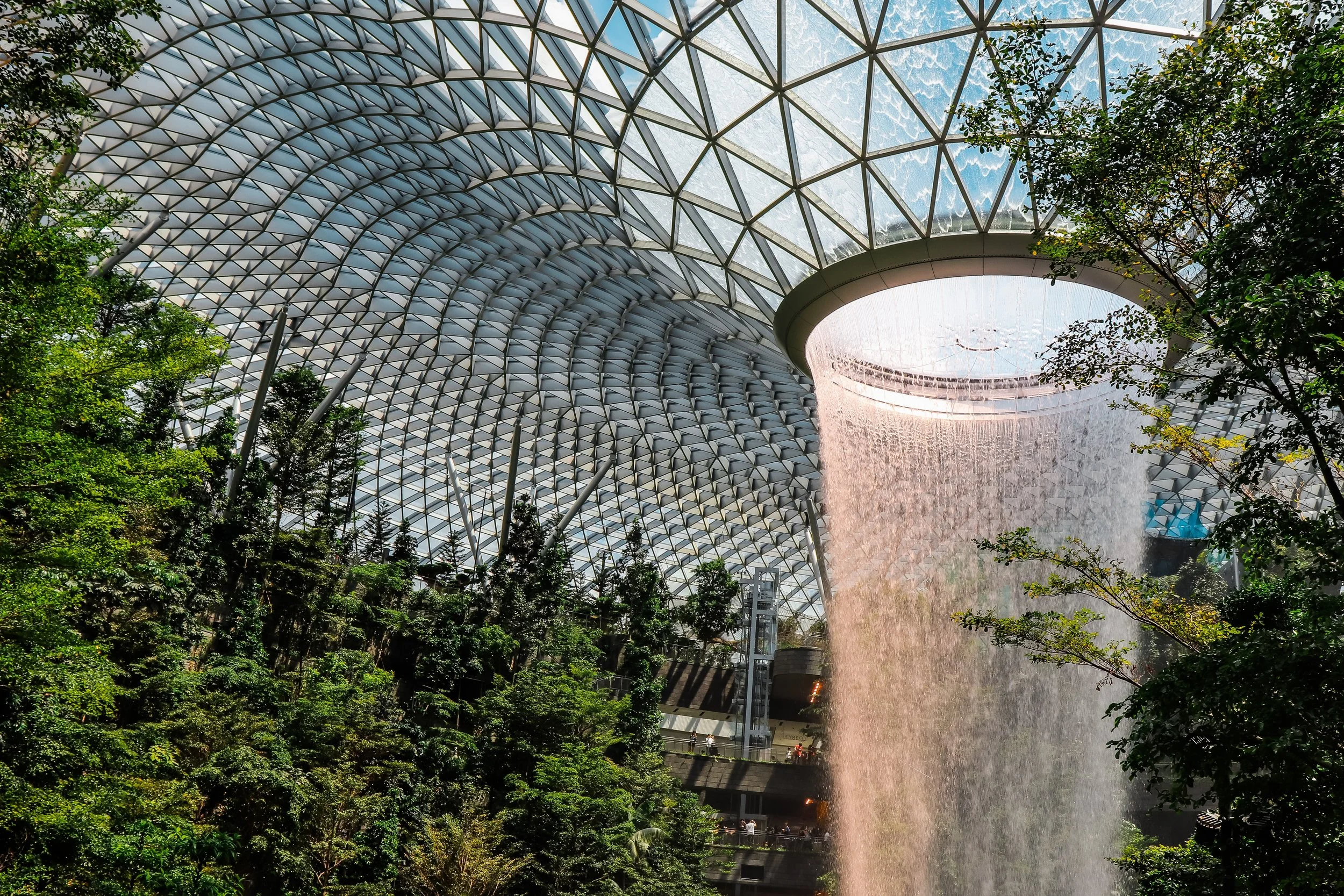 Brinc Announce Program to Support Singaporean Food Startups Seeking Mainland China Market Entry