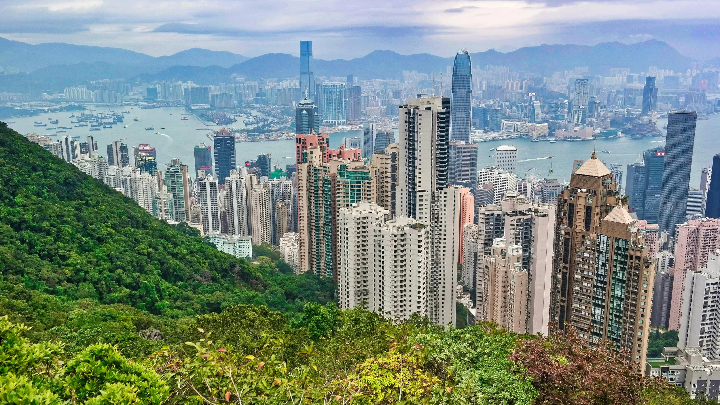 Where to Find Hong Kong’s Best Vegan Food, From Bubble Waffles to Meat-Free Pork