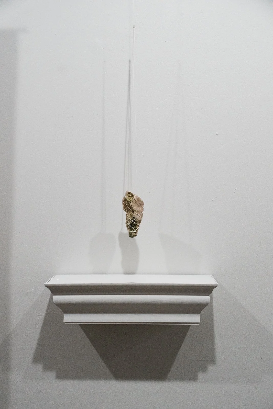 DSCF4681.jpg