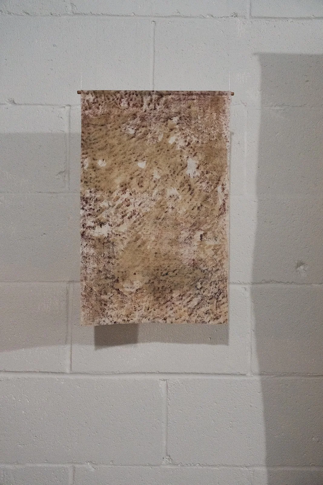 DSCF4669.jpg