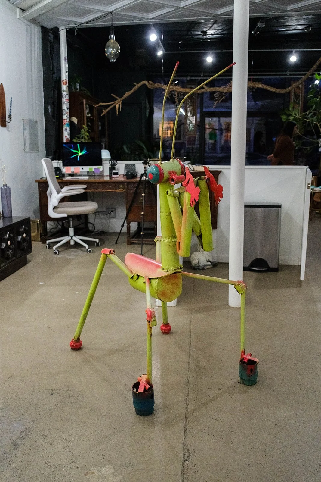 DSCF5721.jpg