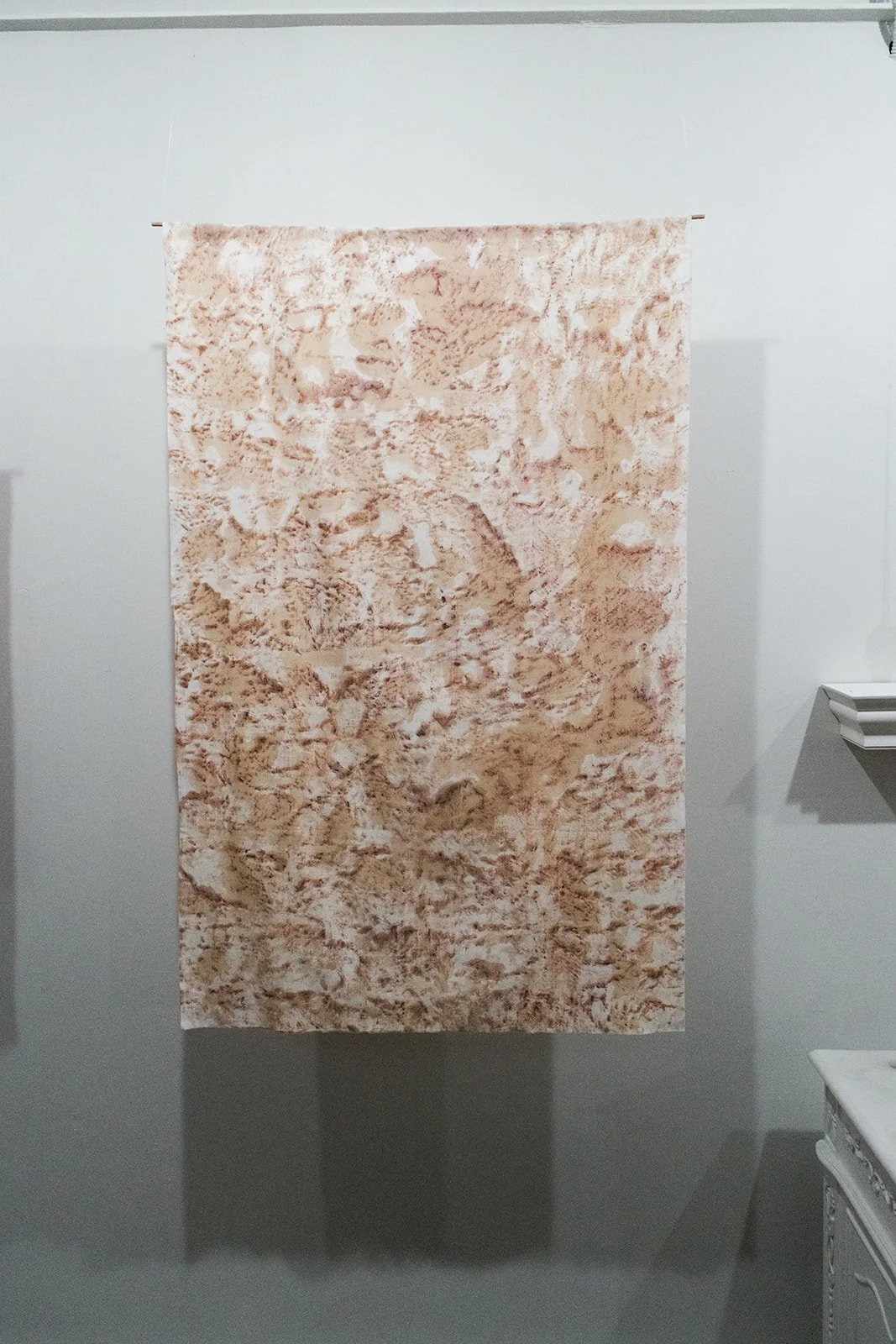 DSCF4677.jpg