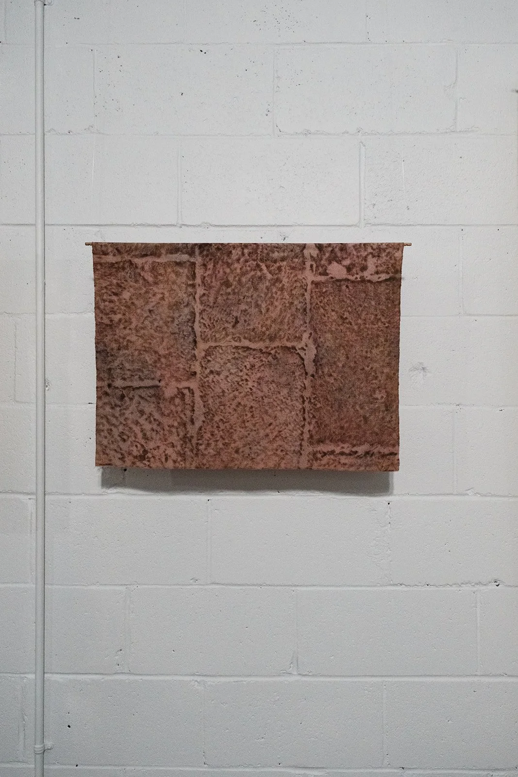 DSCF4656.jpg