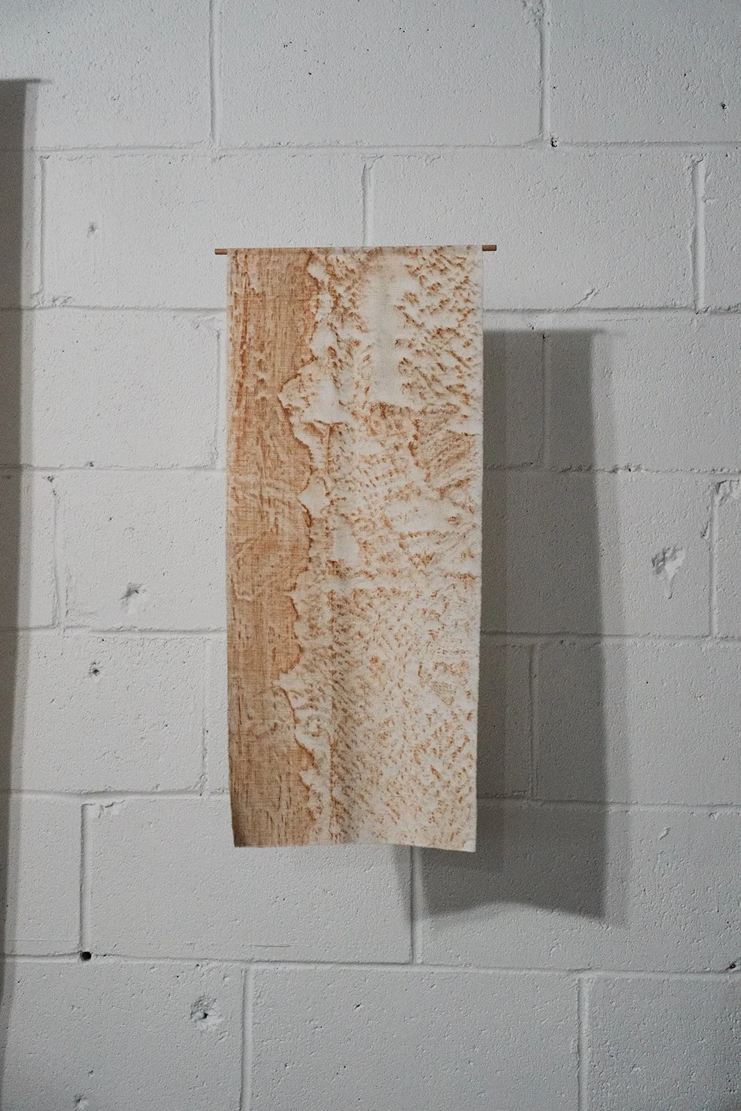 DSCF4651.jpg