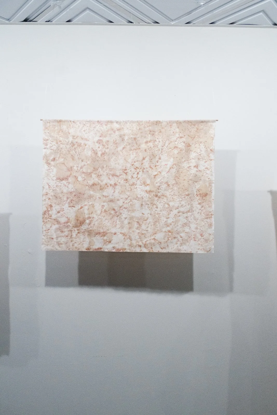 DSCF4692.jpg