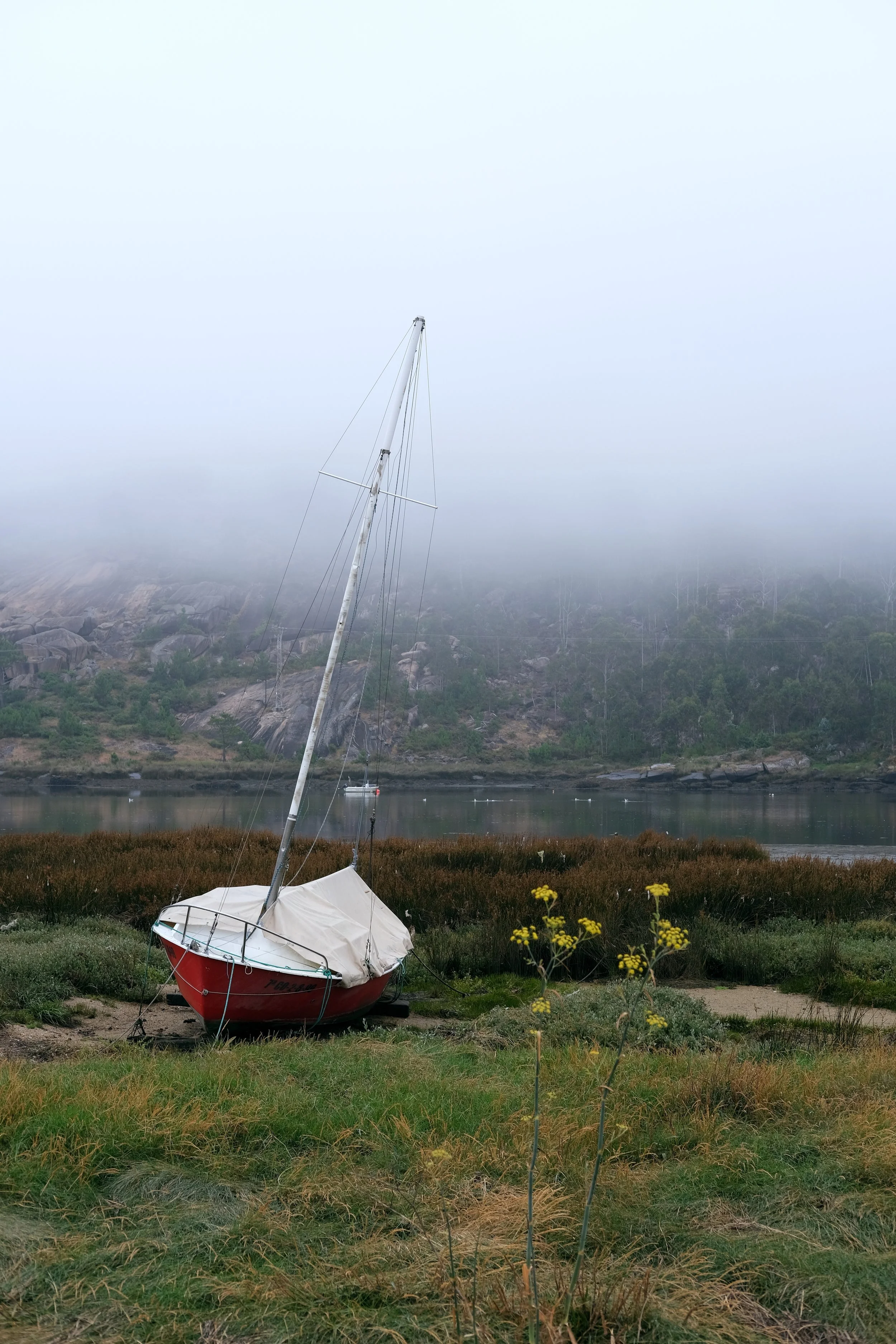 29 2022_0729_10090400-01.jpeg