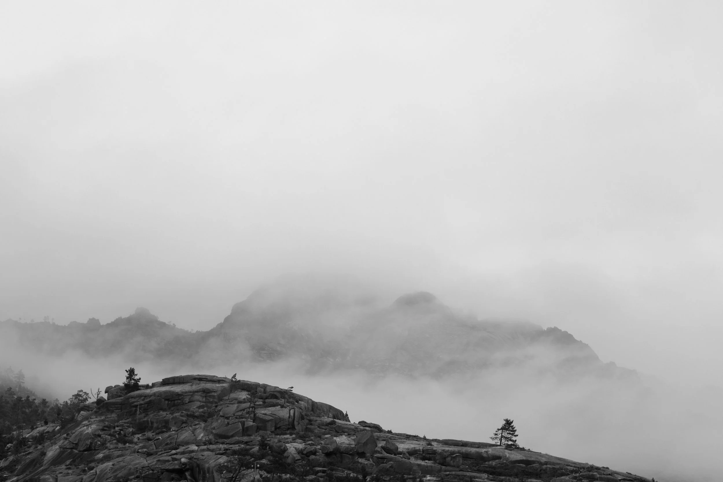 23 2022_0729_10535100-03.jpeg