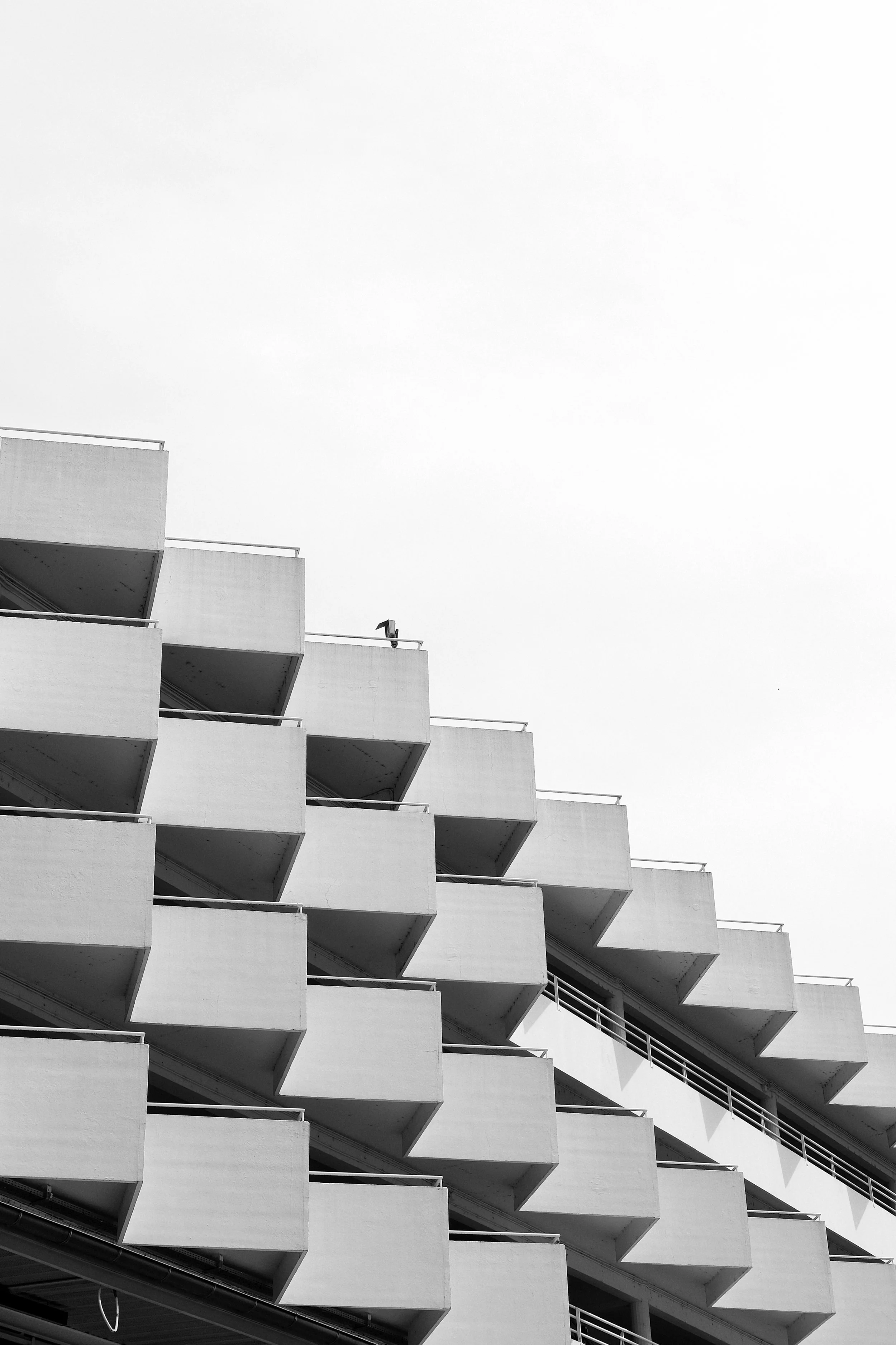 21 2022_0813_15511500-02.jpeg