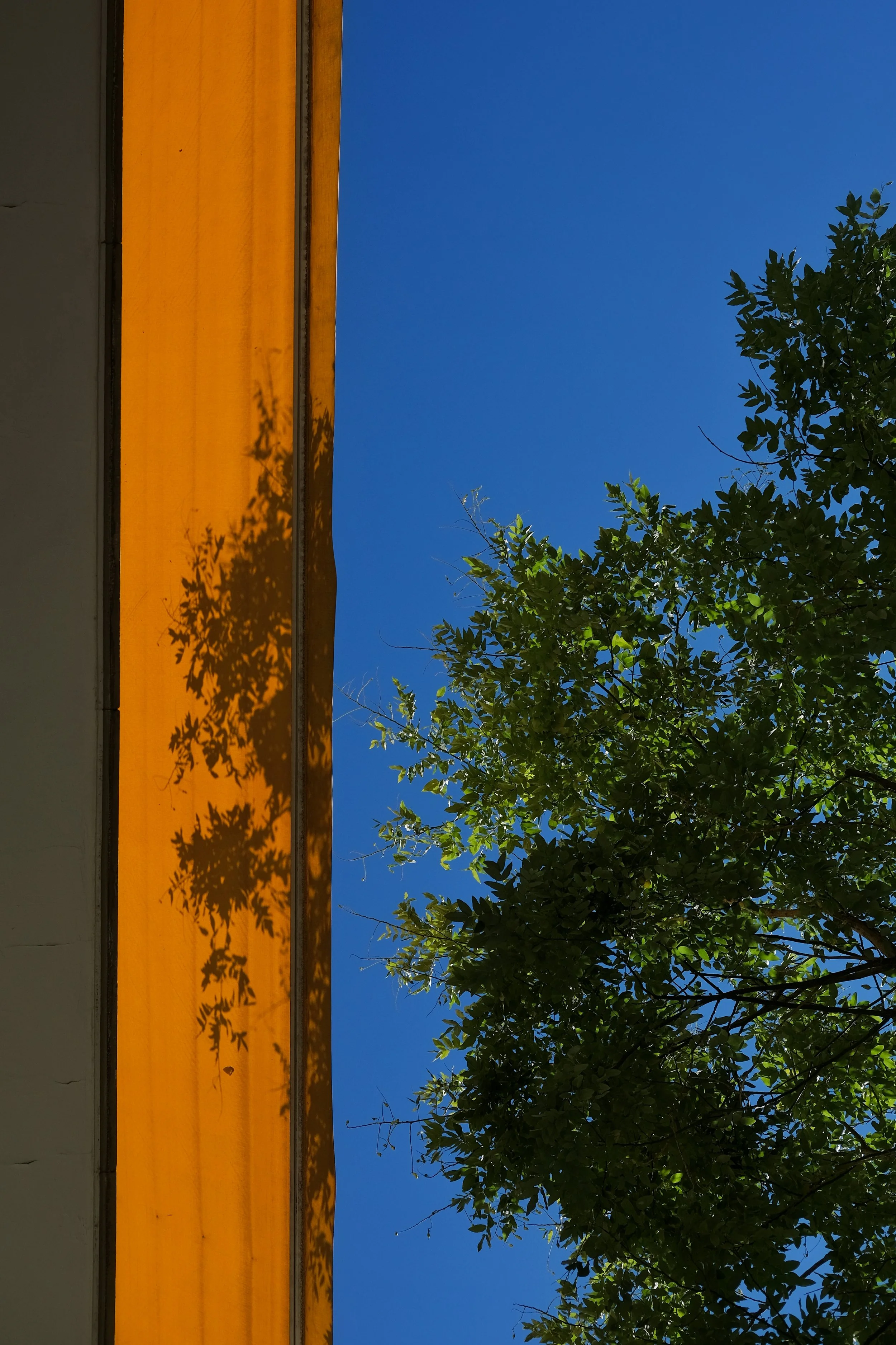 30 2022_0903_17560300-03.jpeg