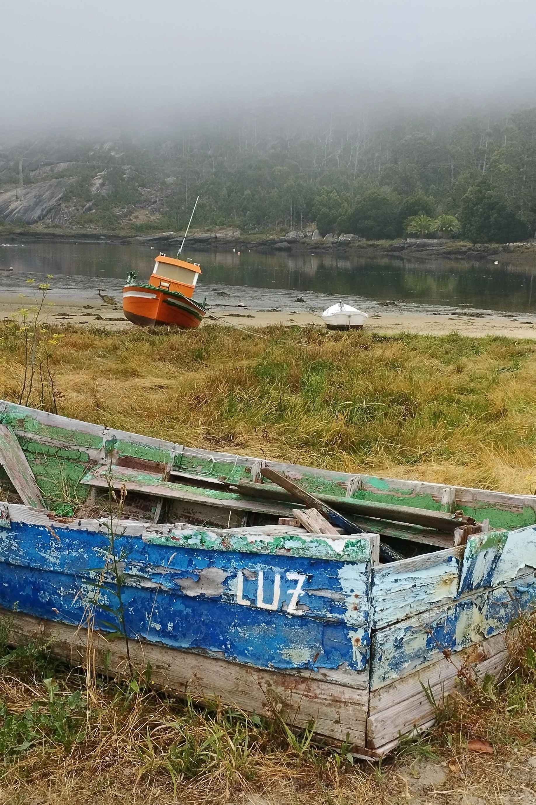 28 IMG_20220729_101439-01.jpeg