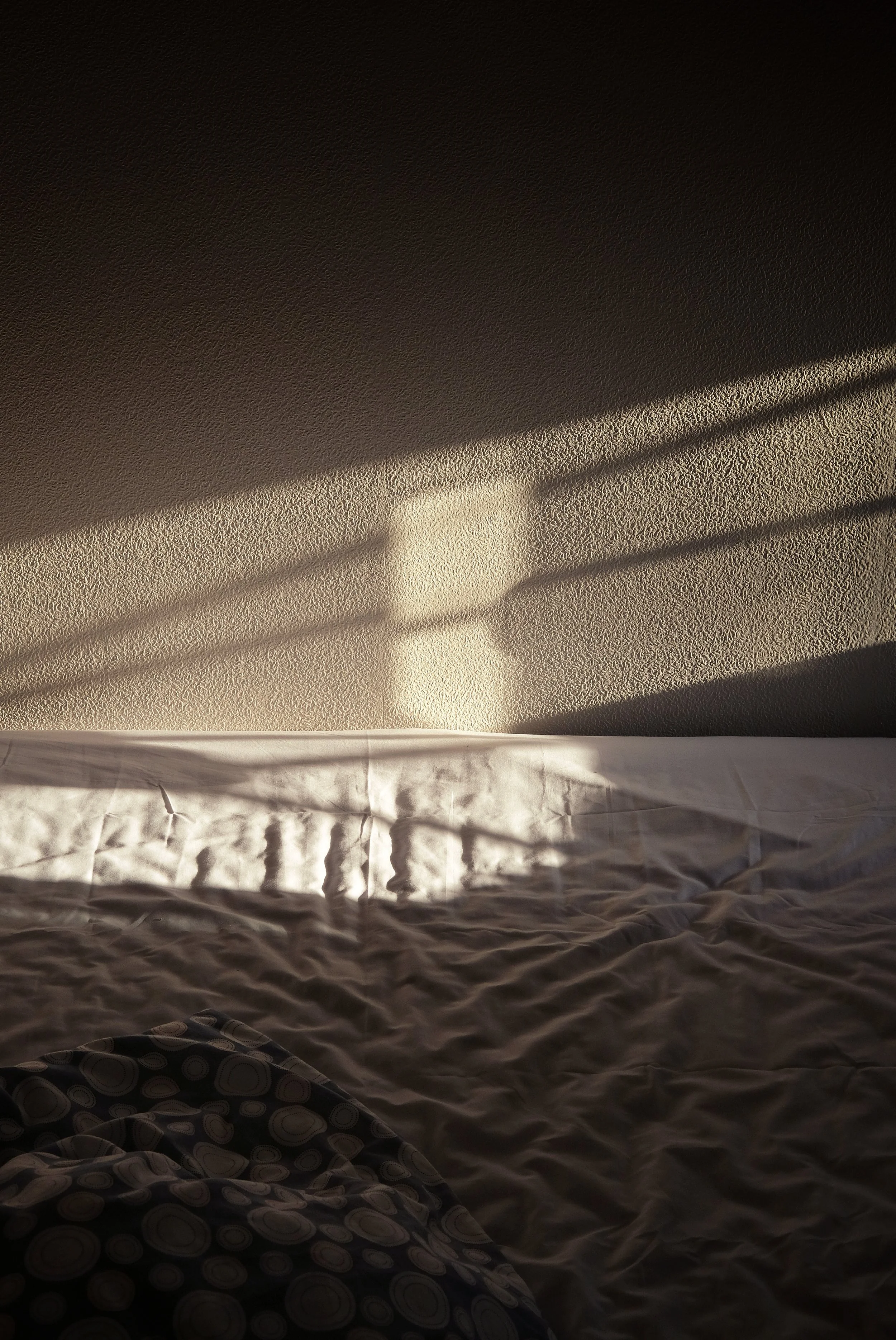 06 2022_0806_08094000-01.jpeg