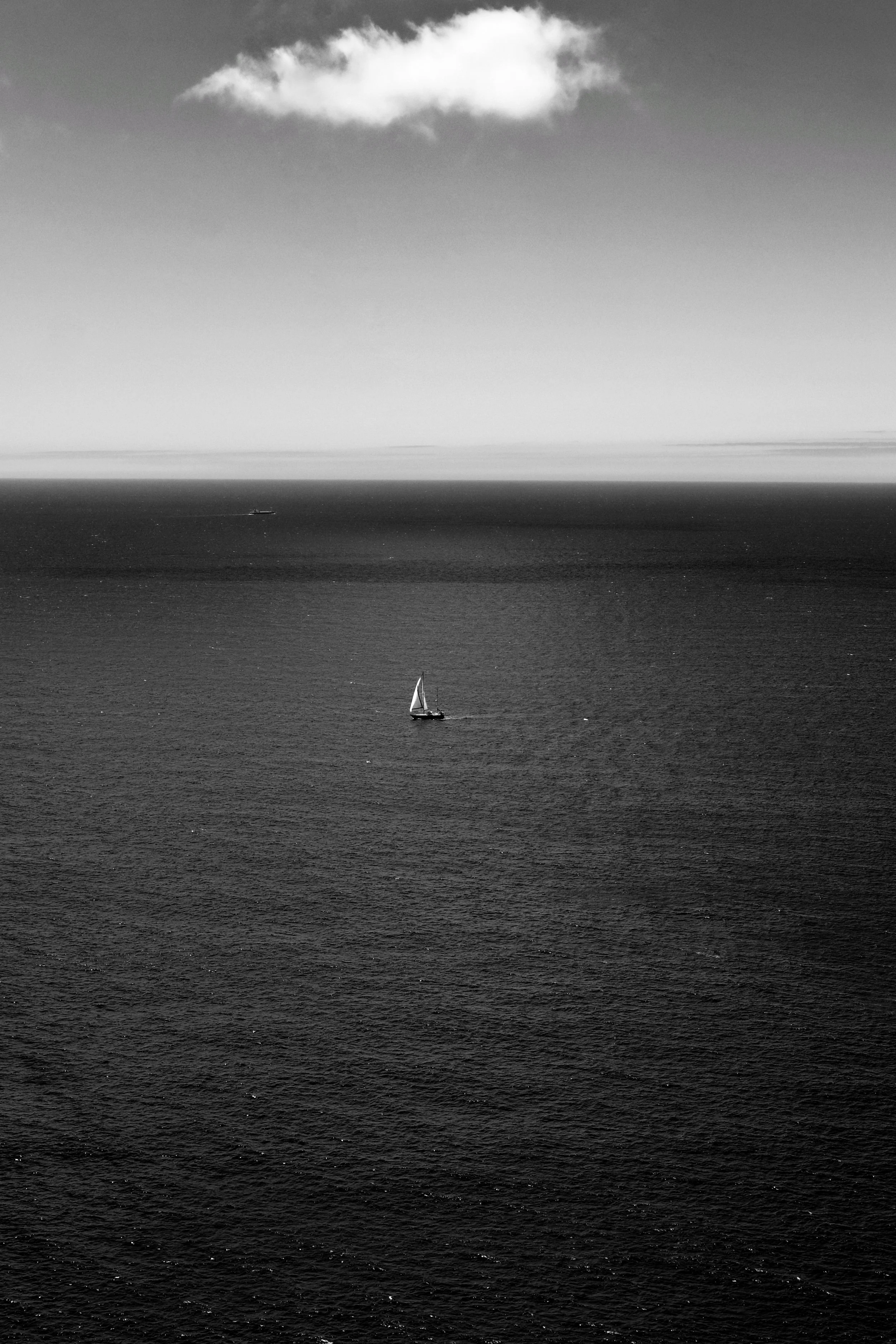 21 2022_0729_15250600-01.jpeg