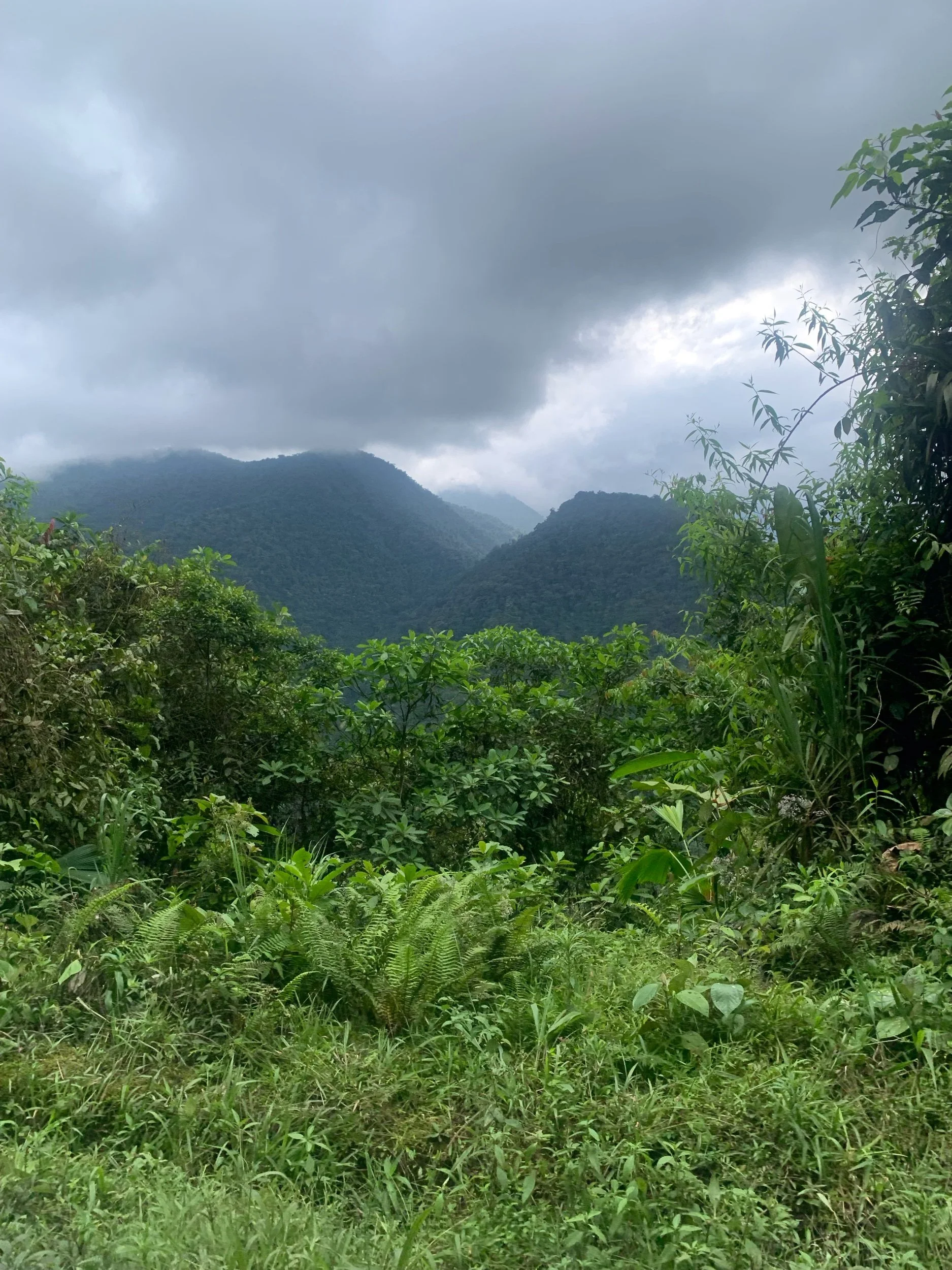 IMG_6037.jpeg