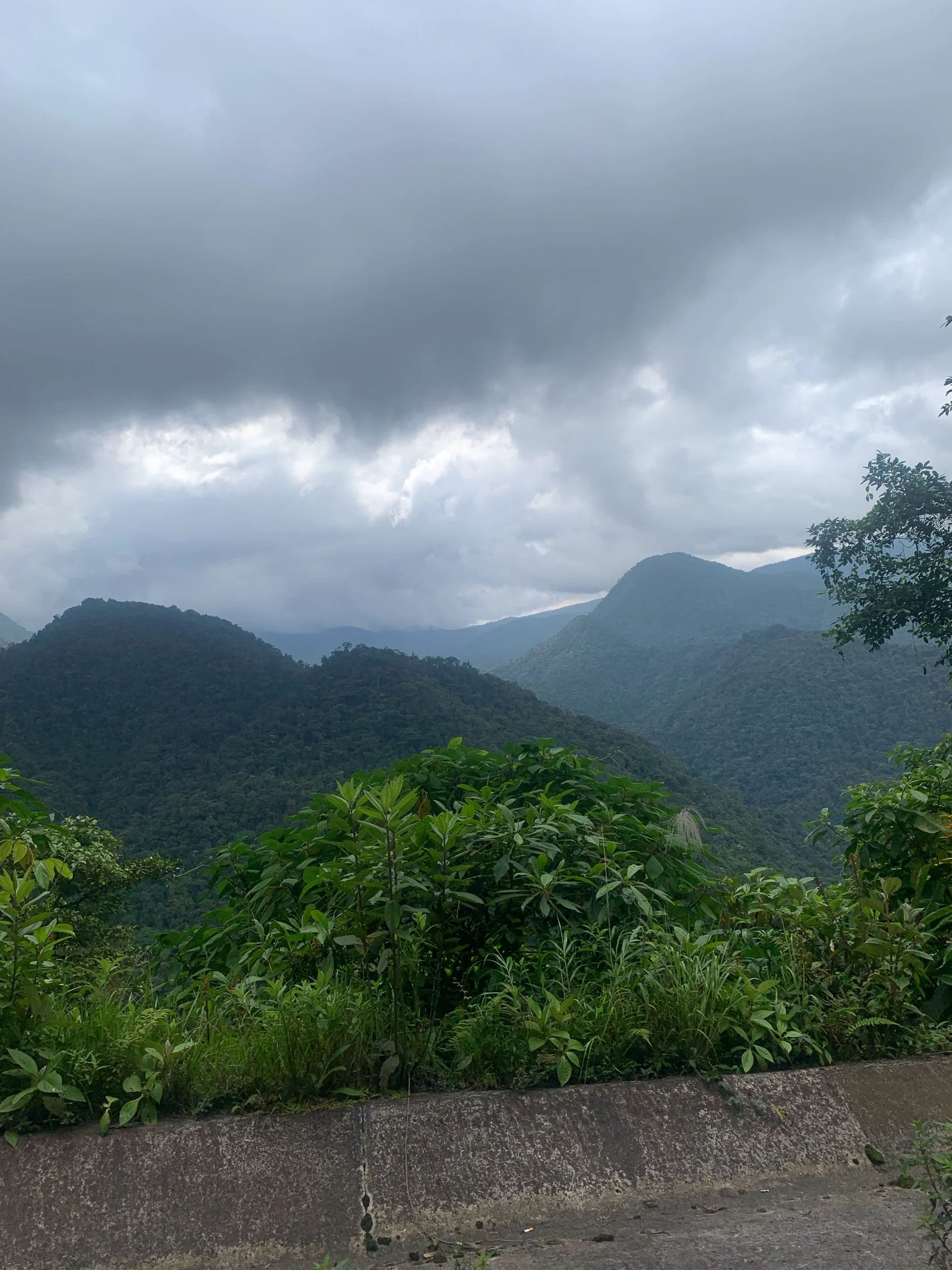 IMG_6040.jpeg