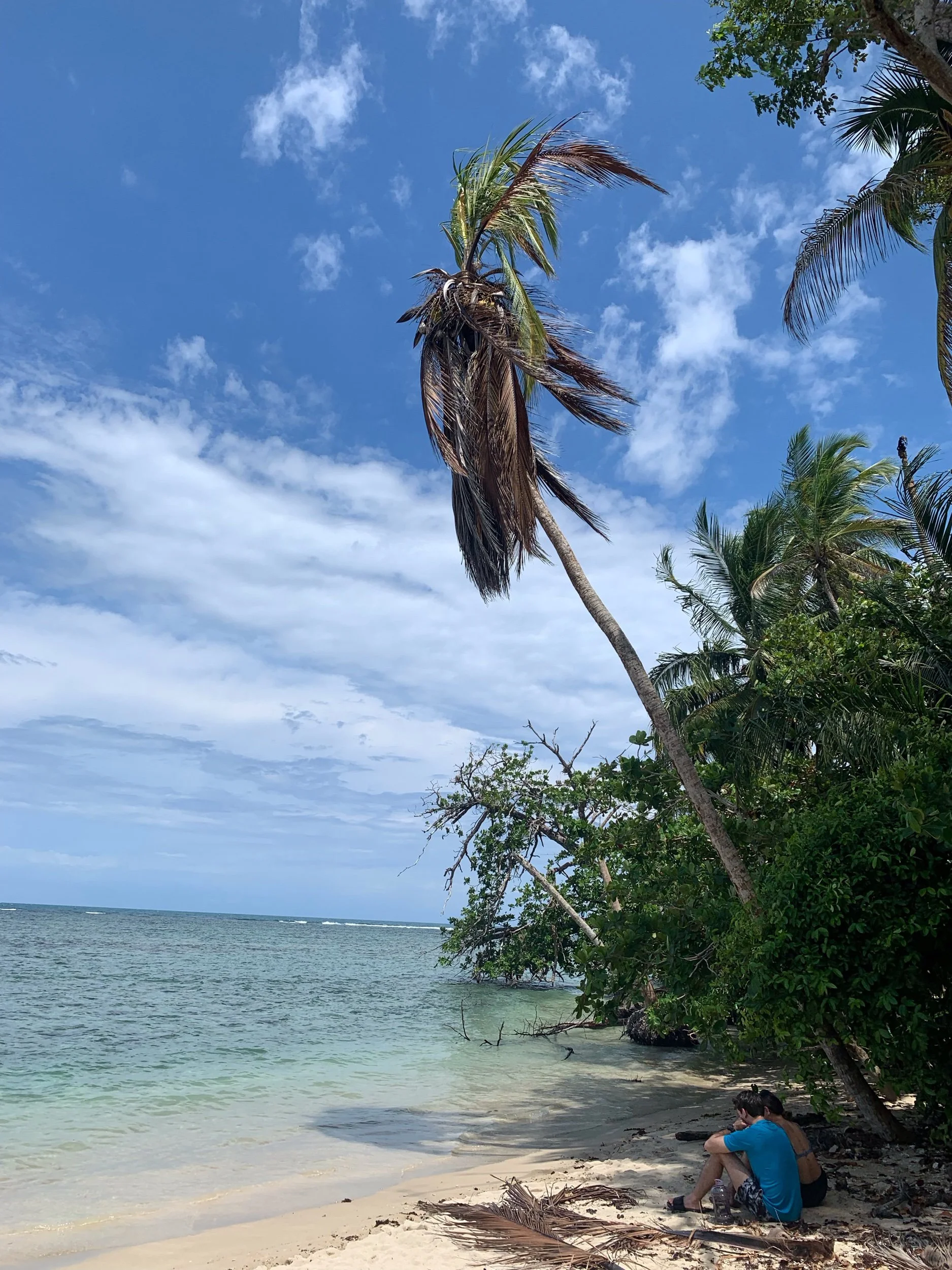 IMG_5953.jpeg