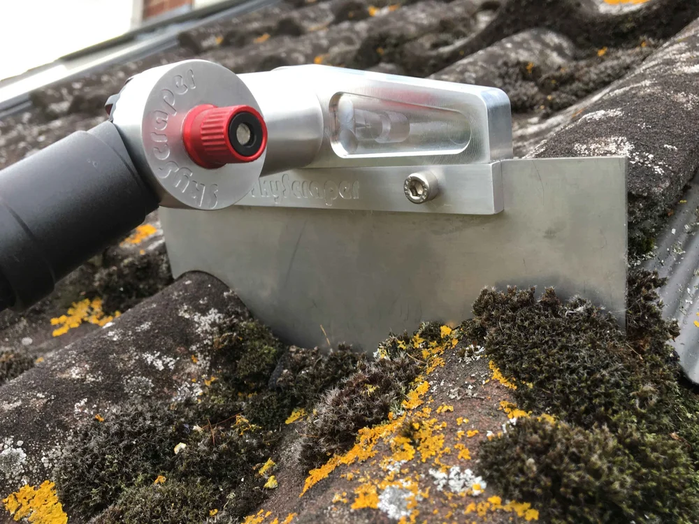 Moss Removal Victoria