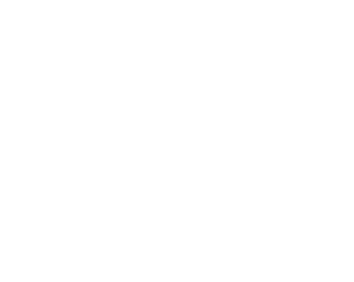 FINAL FOCUS FILMS