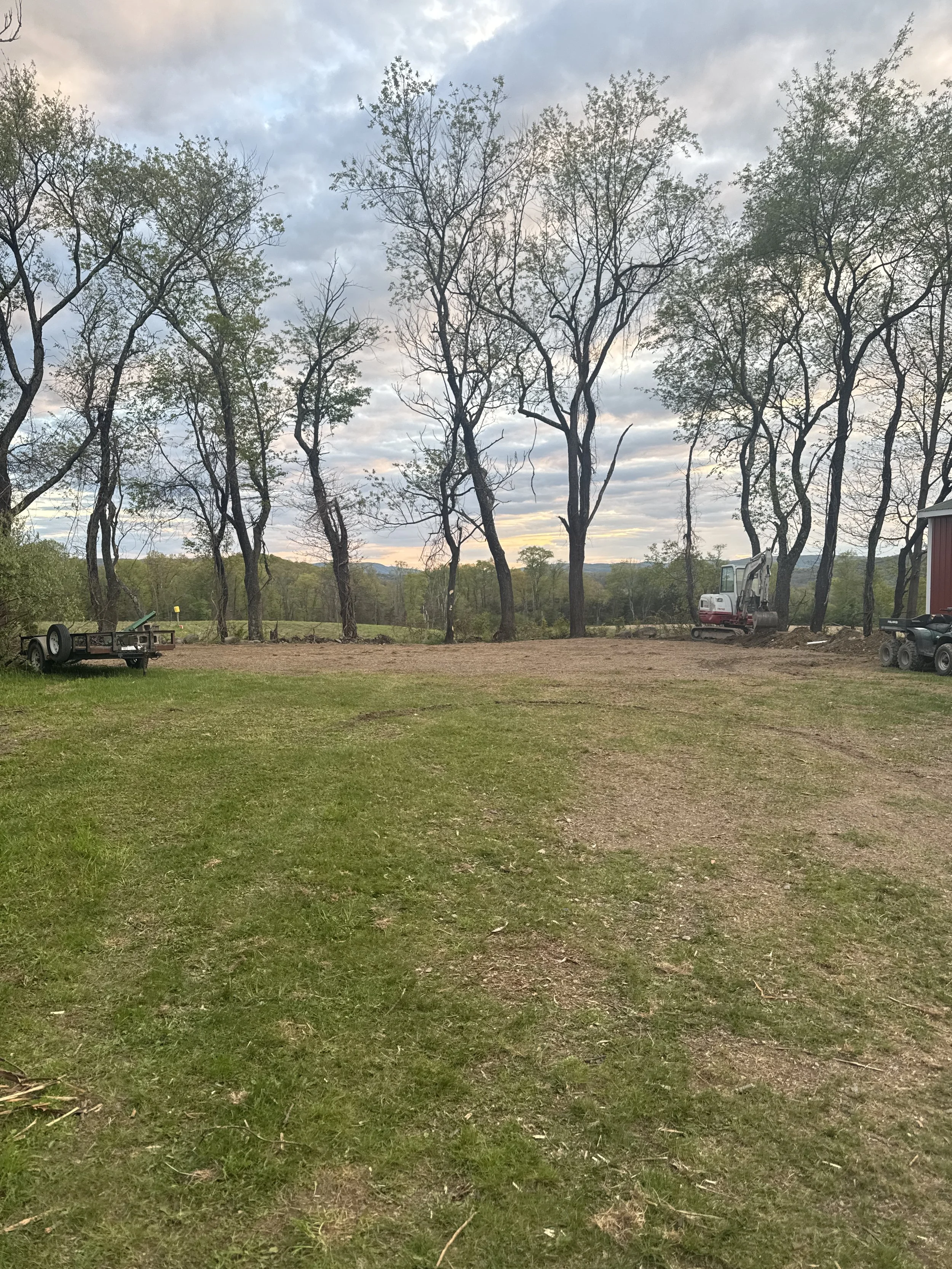 Cleared out some trees to make more parking and a nicer look