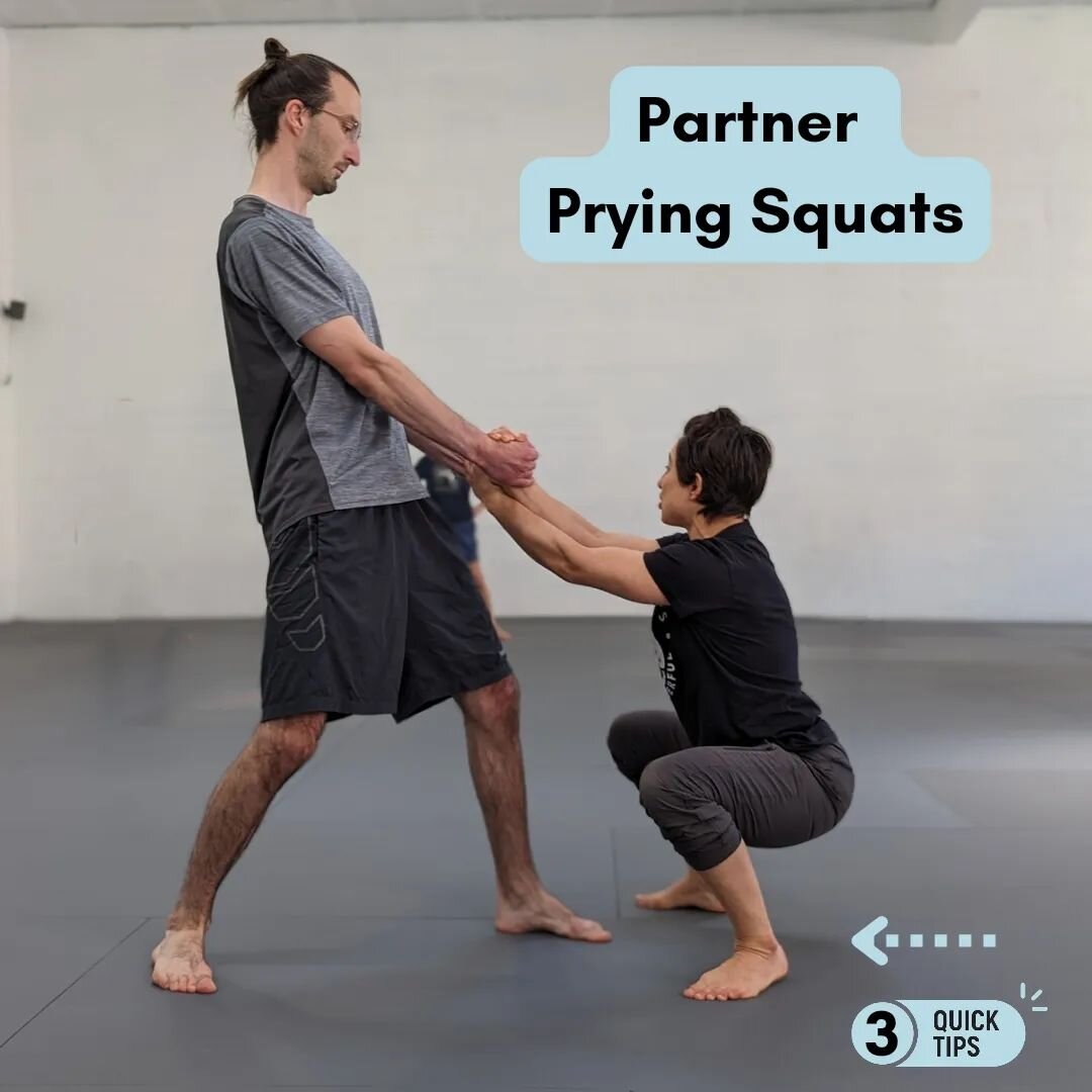 Have you tried partner prying squats?

It's a great drill to target your hips for specific squat prep or general hip mobility and get help from your partner with your squat! We love adding these to our Group Training classes so students get to intera