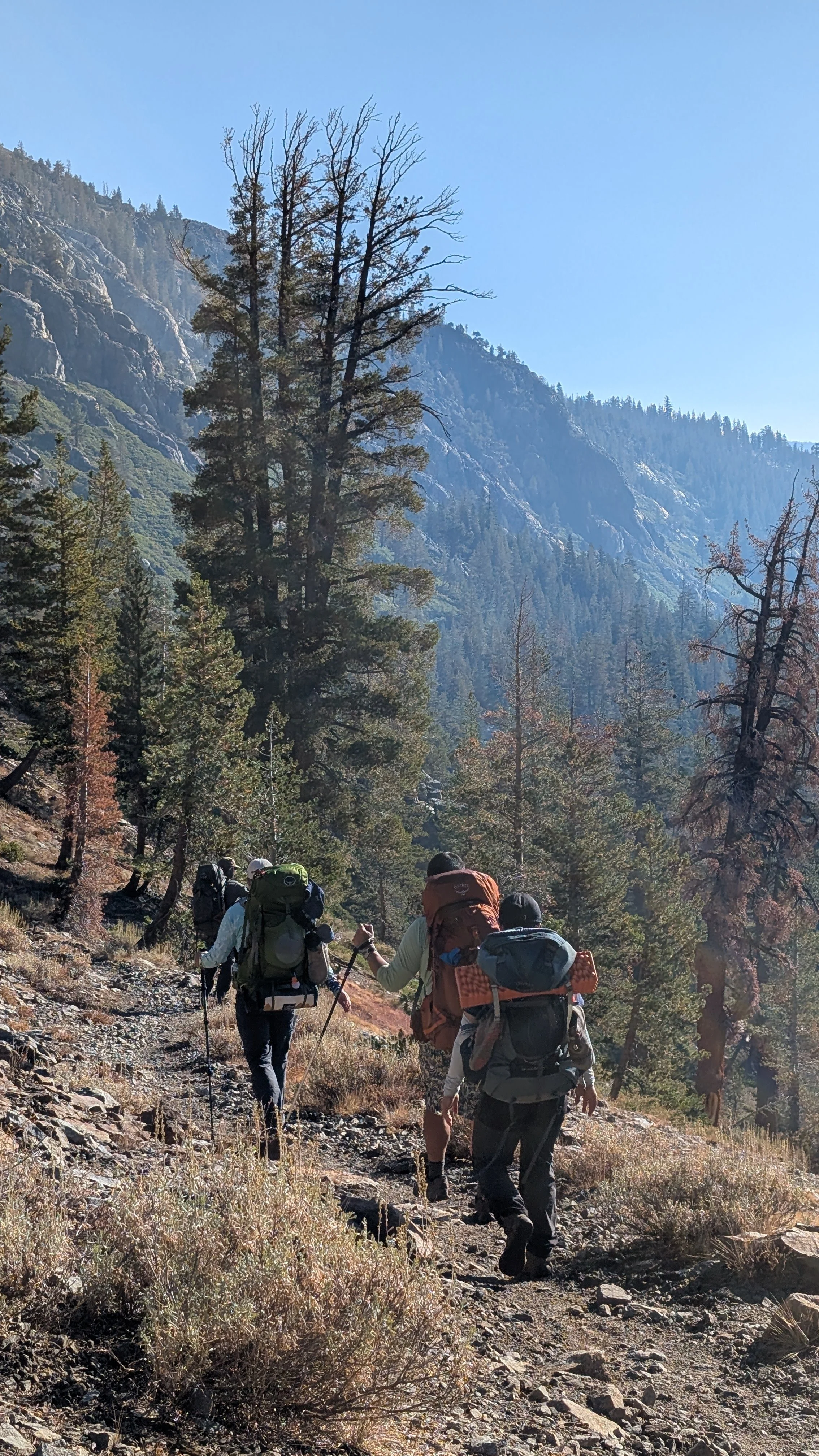 Breathe Smarter, Hike Higher — Strong Endurance in the Wild