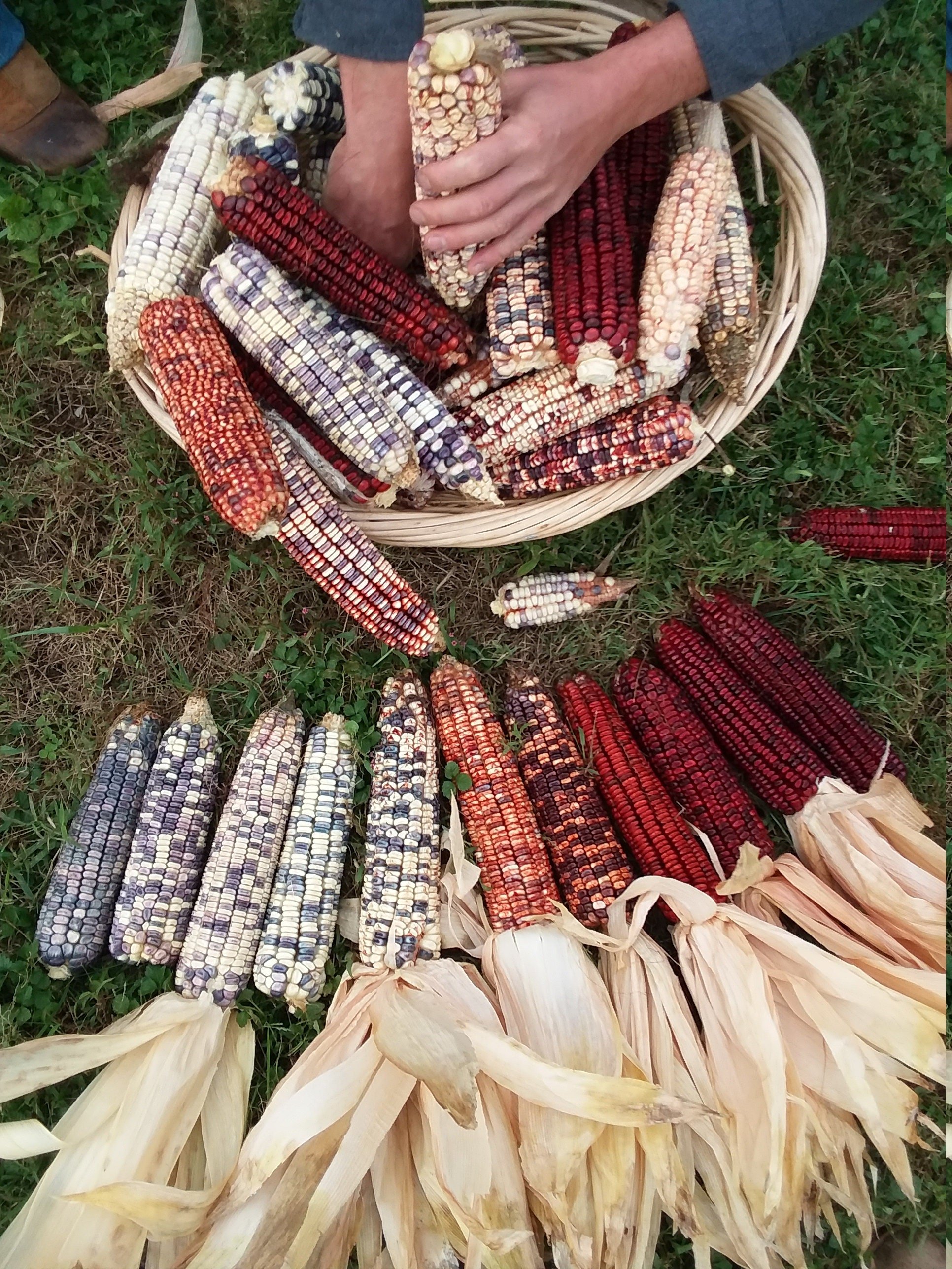 https://i.etsystatic.com/22539275/r/il/3e56cb/2319307202/il_fullxfull.2319307202_tkc7.jpg