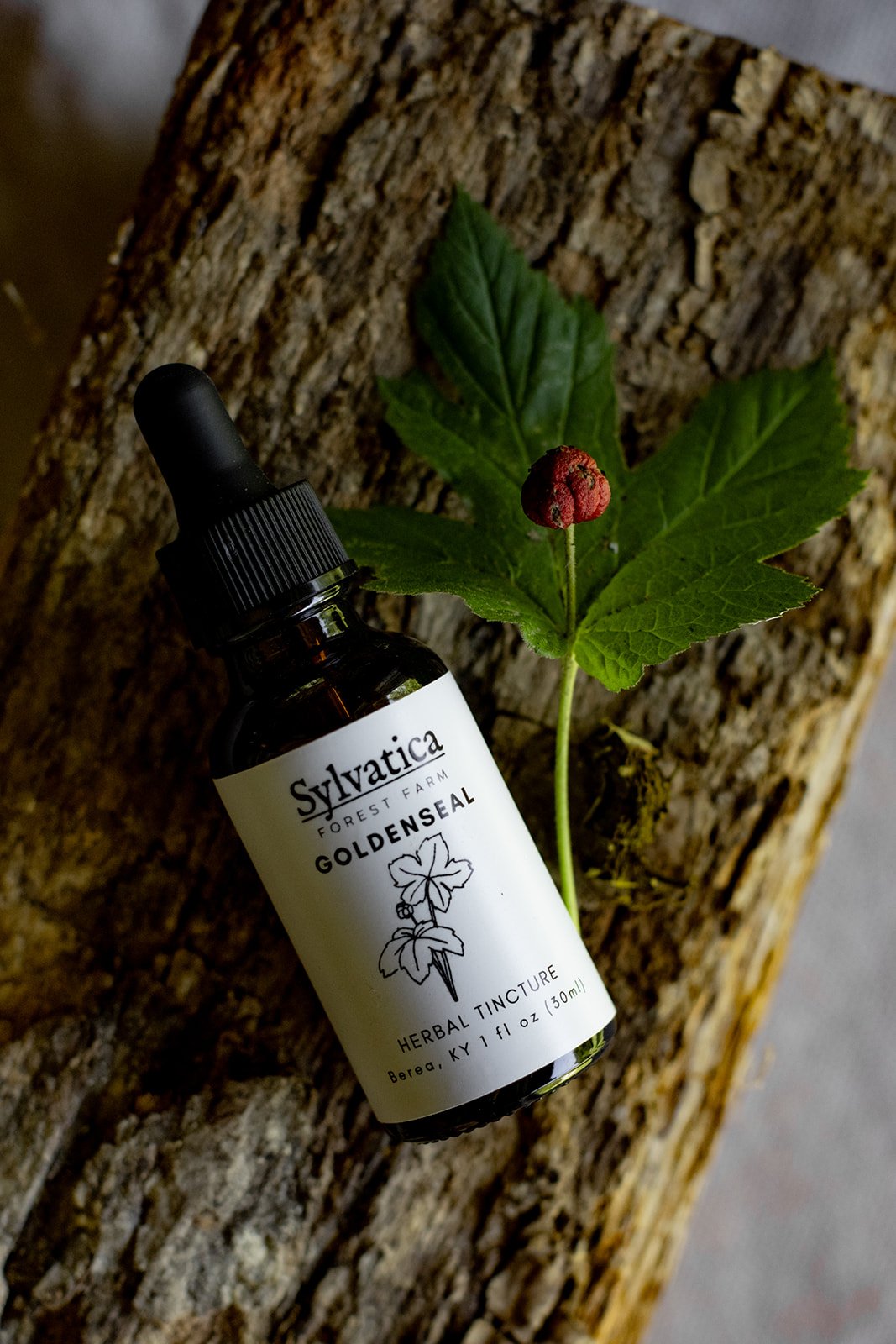 Goldenseal Extract